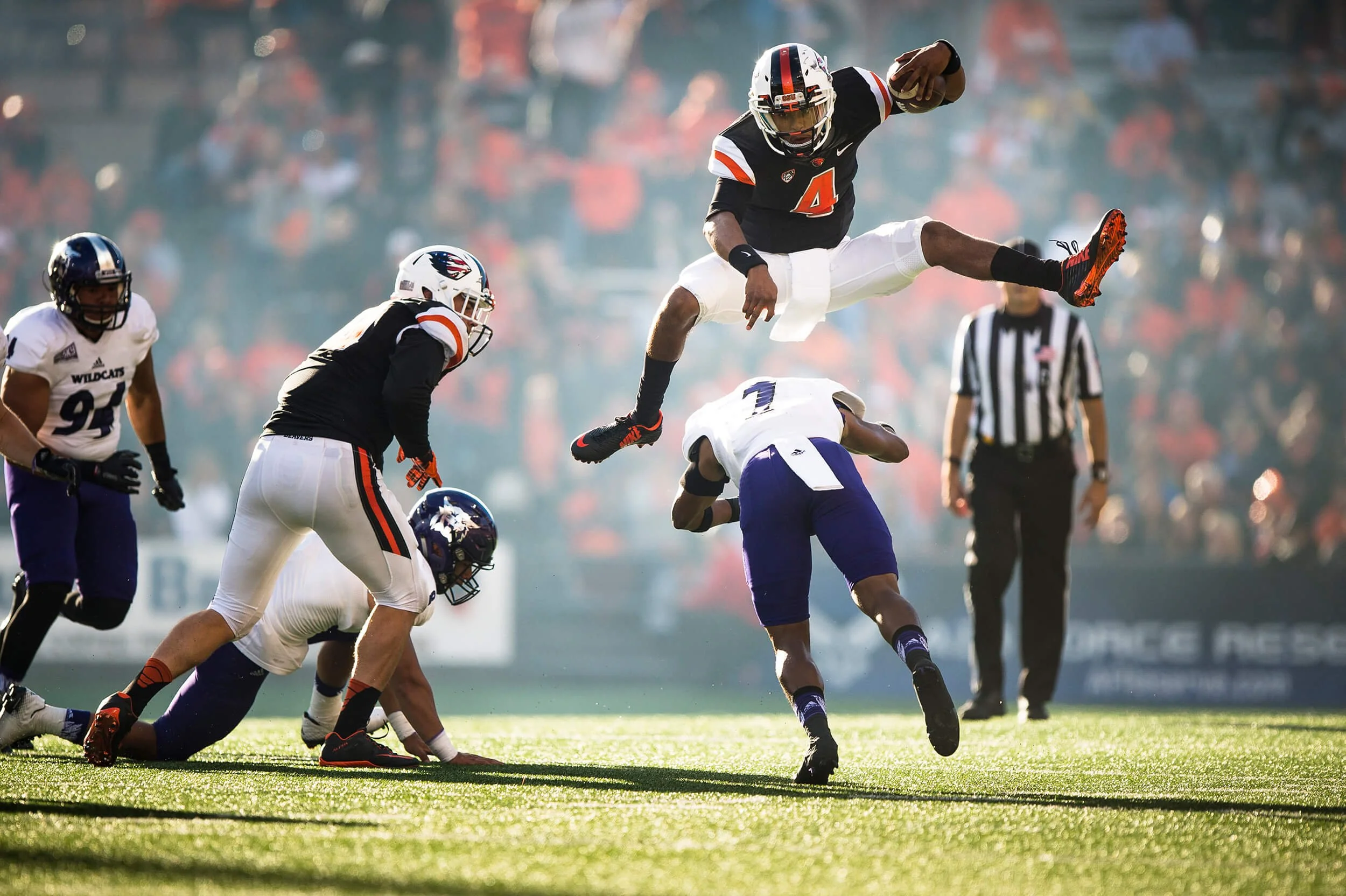 Beaver quarterback Seth Collins leaps over a Weber State defender in 2015 (courtesy Karl Maasdam)
