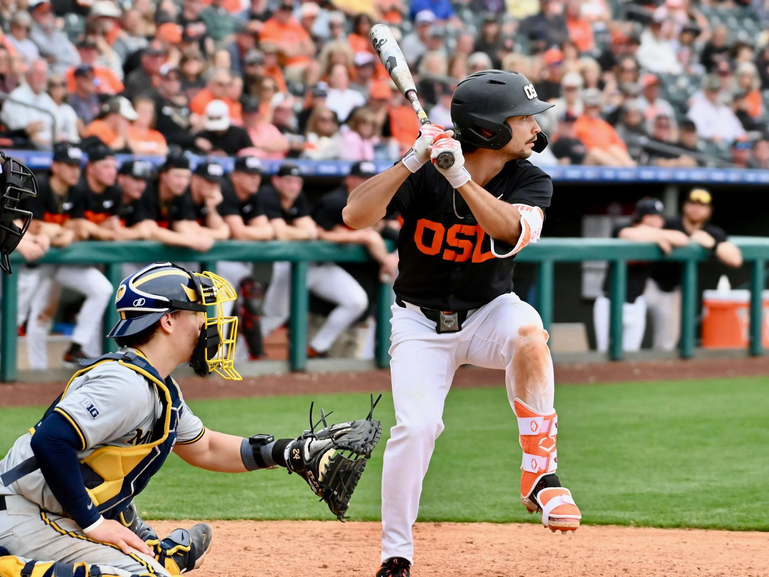 AJ Singer has had a big senior season at the plate, hitting .290 and leading Oregon State in several statistical categories (courtesy Dominic Cusimano)