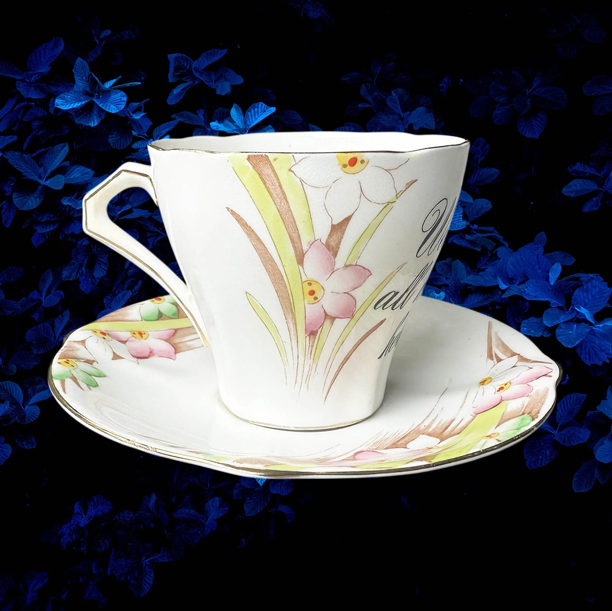 A vintage tea cup with a floral design and the words "we're all mad here" in black writing