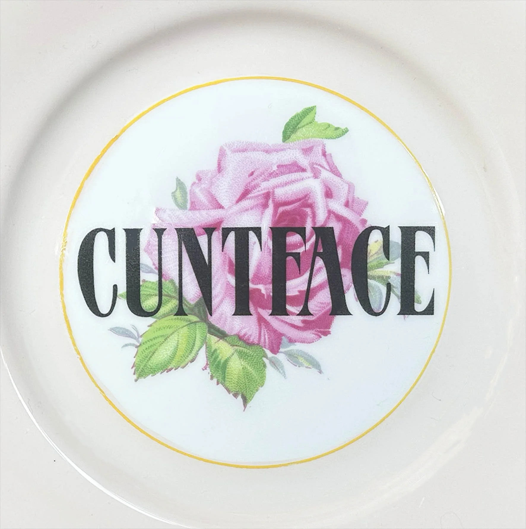 A vintage plate with a soft pink border and a floral design and the word “cuntface”