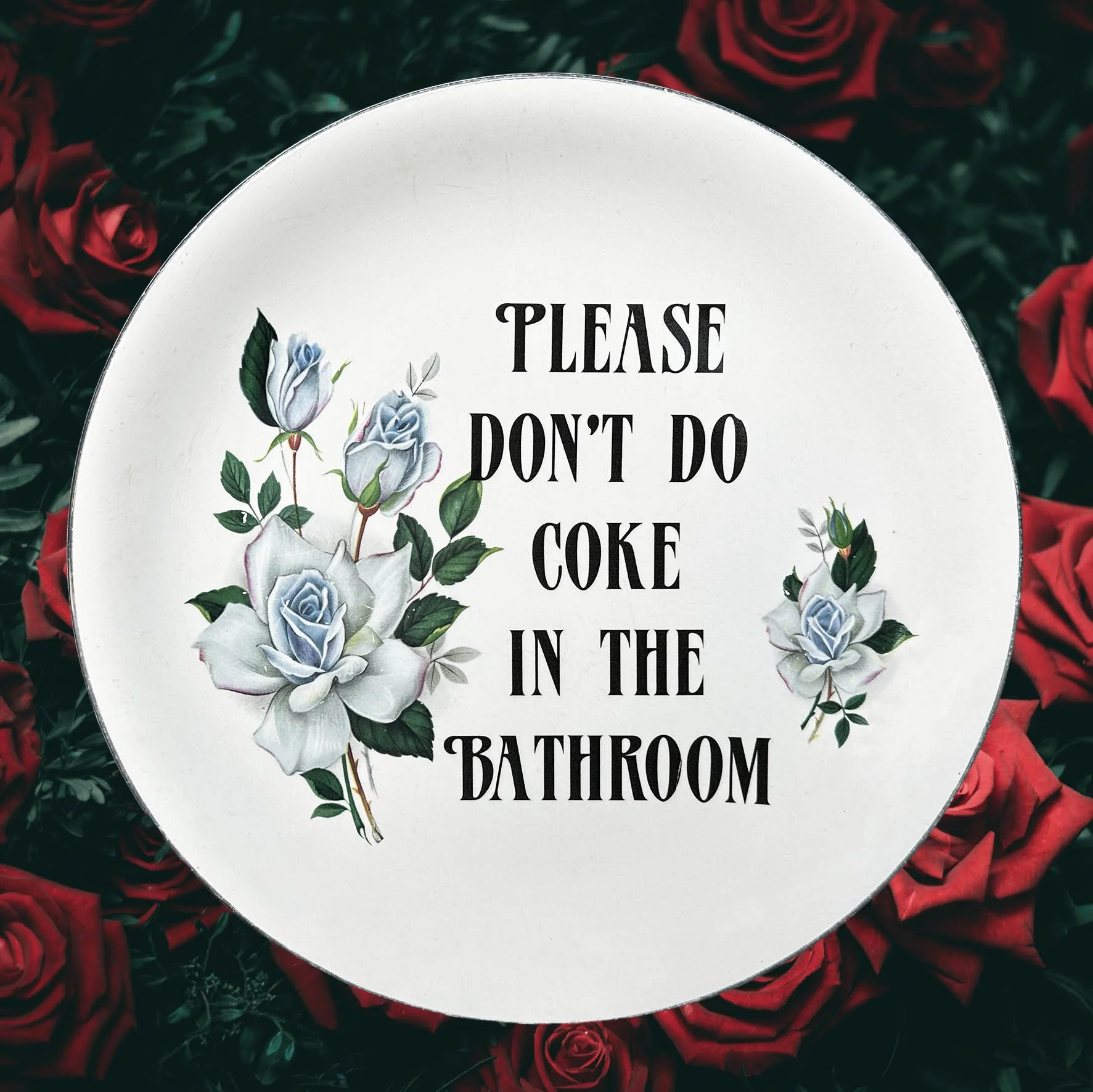 Please Don’t Do Coke In The Bathroom