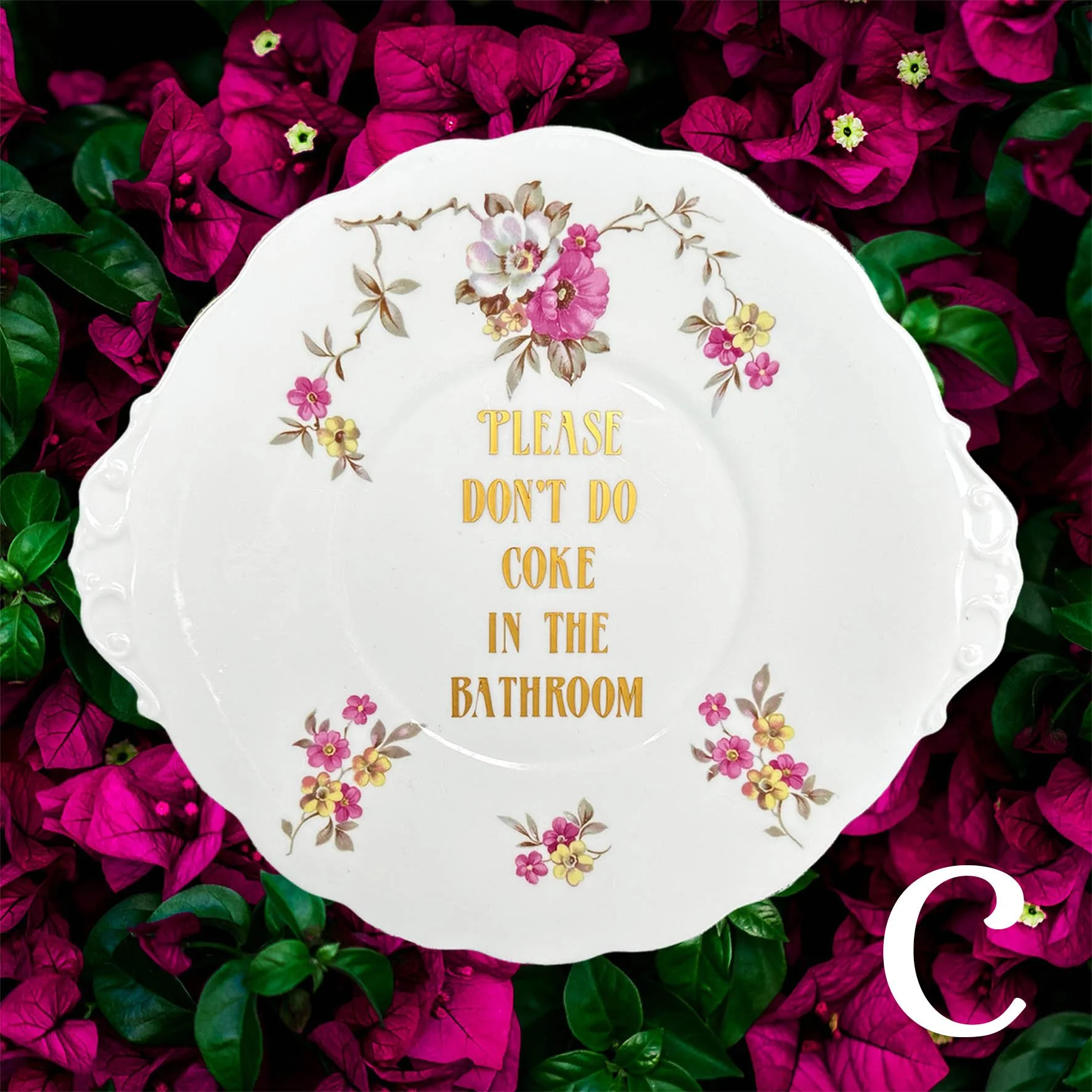 Please Don’t Do Coke In The Bathroom