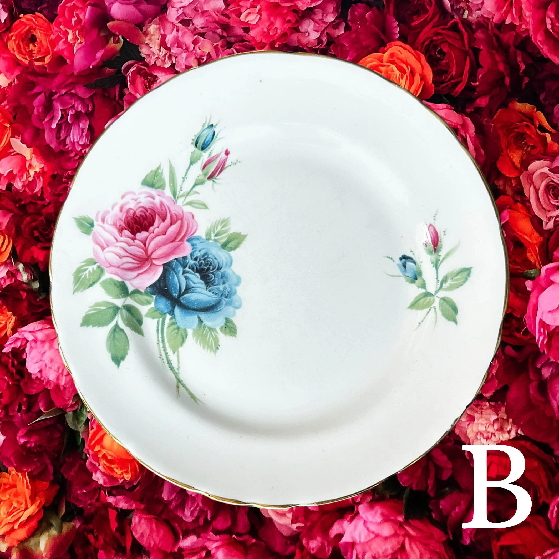 Create_a_plate_small_B4.jpg