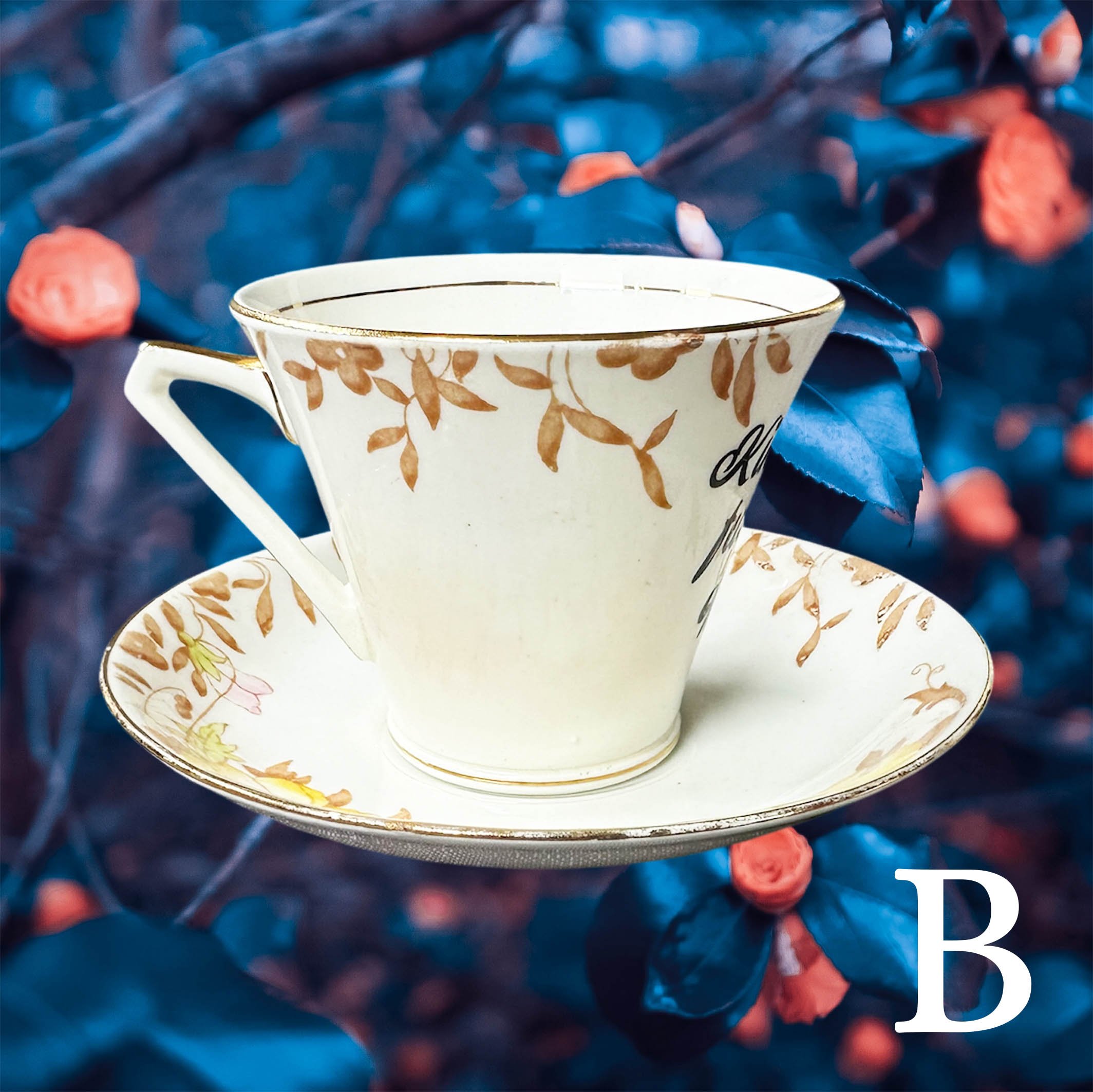 Tea_cup_kindly_fuck_offV9.jpg
