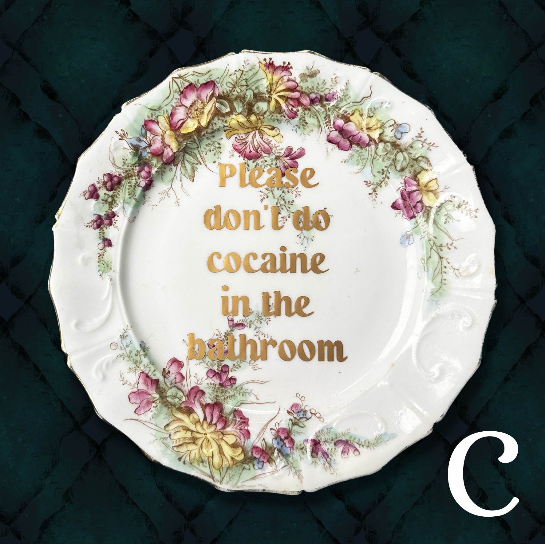 Please Don’t Do Cocaine In The Bathroom