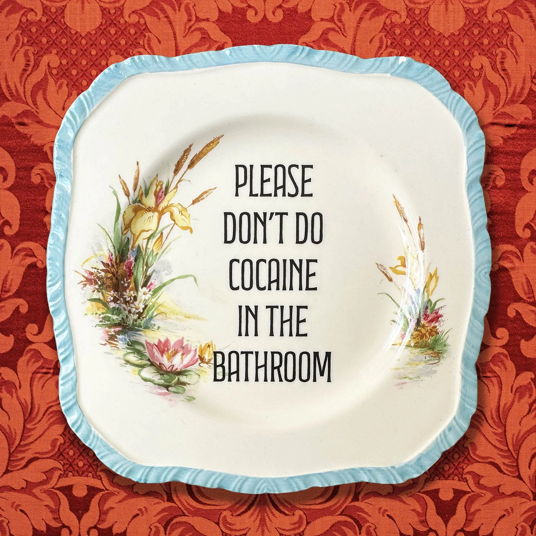 Please Don’t Do Cocaine In The Bathroom