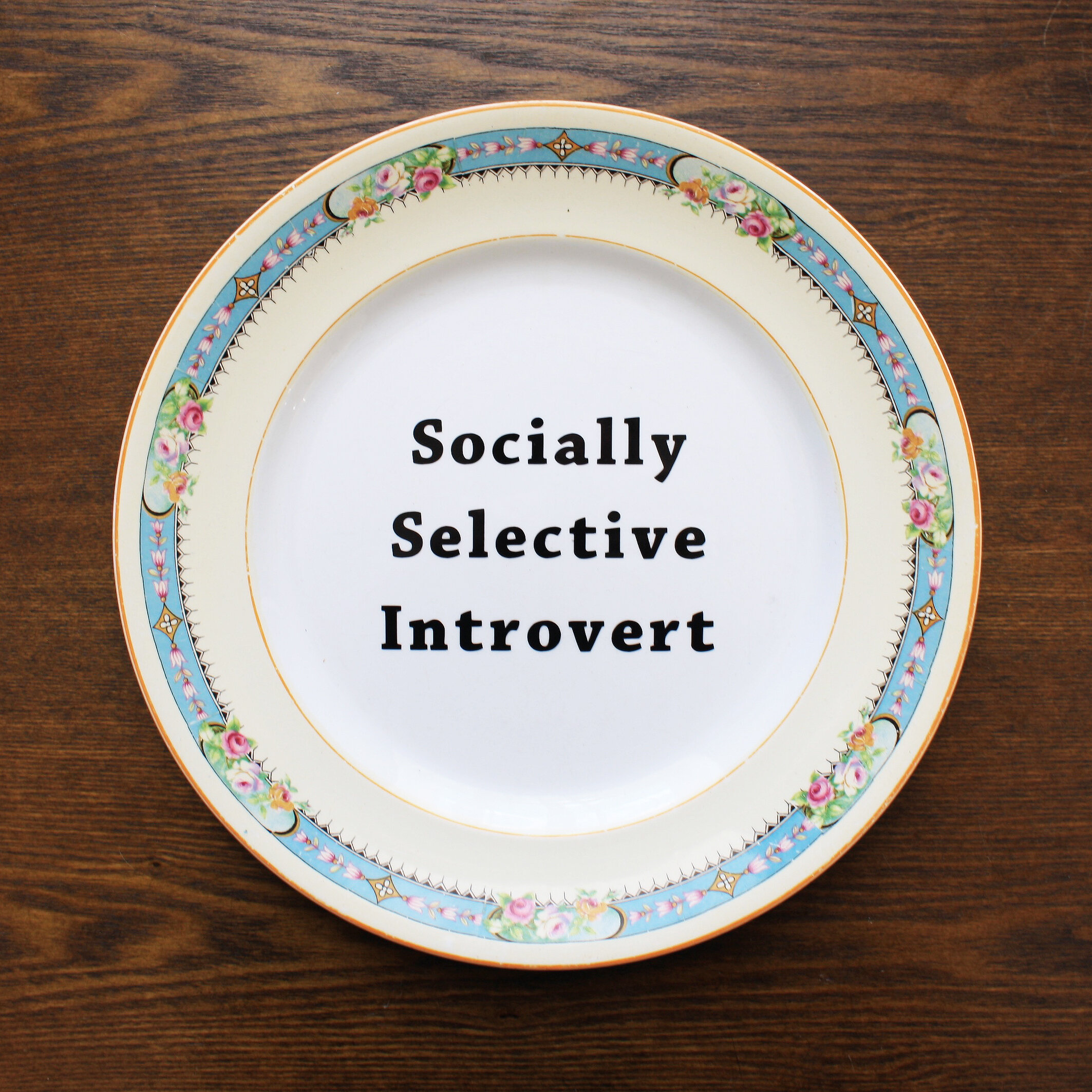 Witty Plate - Socially Selective Introvert