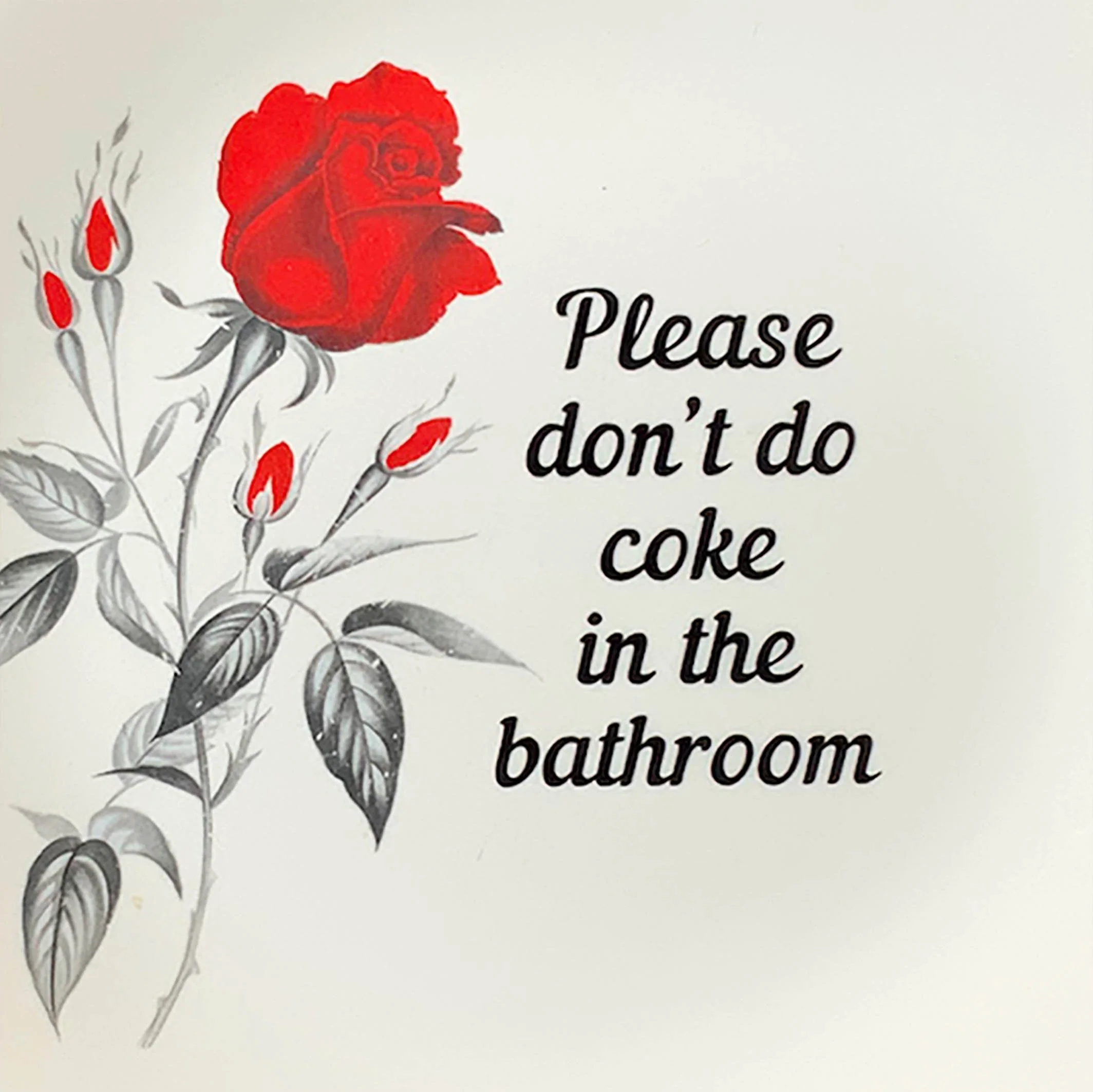 Targa Metallica Umoristica 'Please Don't Do Coke In The Bath' | 20,3 X 30,5 Cm | Cartello In Latta Per Bagno, Bar, Cucina | Idea Regalo Divertente