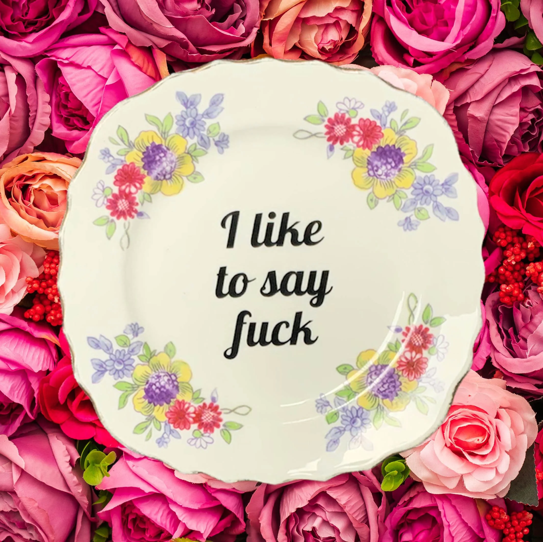 See You Next Tuesday, Decorative Wall Plate — The Dandy Lion