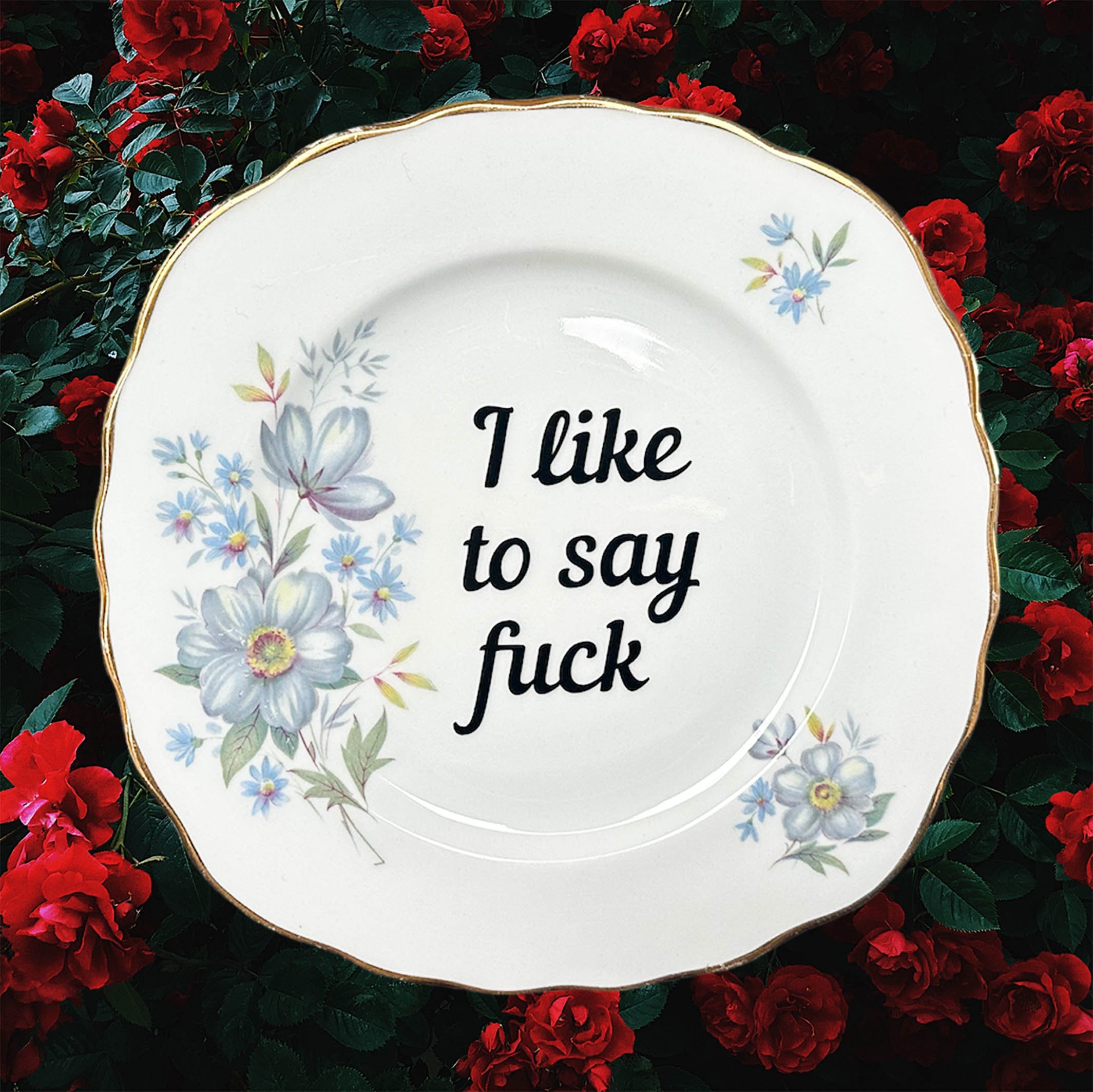 Plate_i_like_to_say_fuckE2.jpg