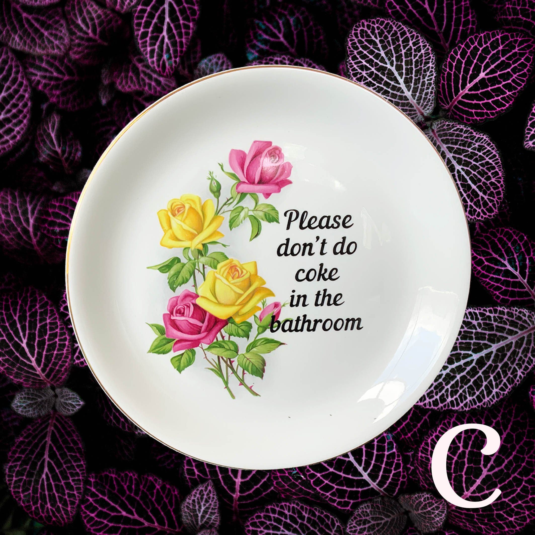 Plate_please_dont_do_coke_in_the_bathroomCC4.jpg