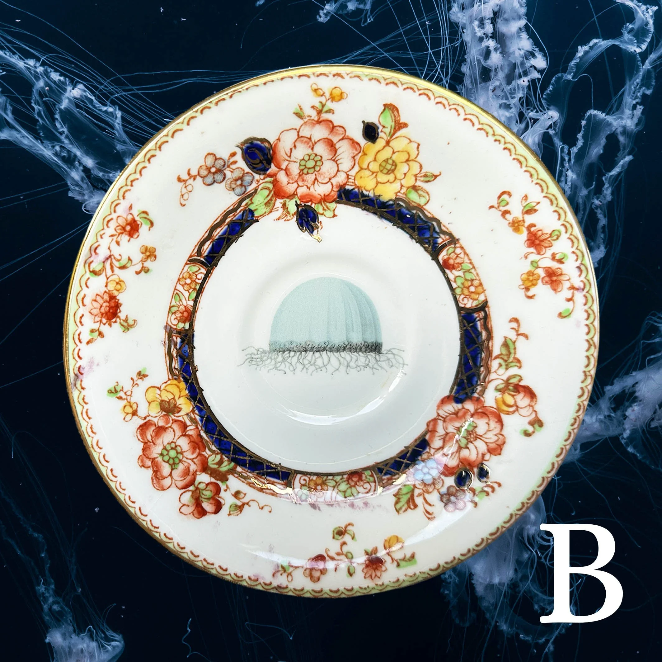 Picture_saucer_under_the_seaF2.jpg