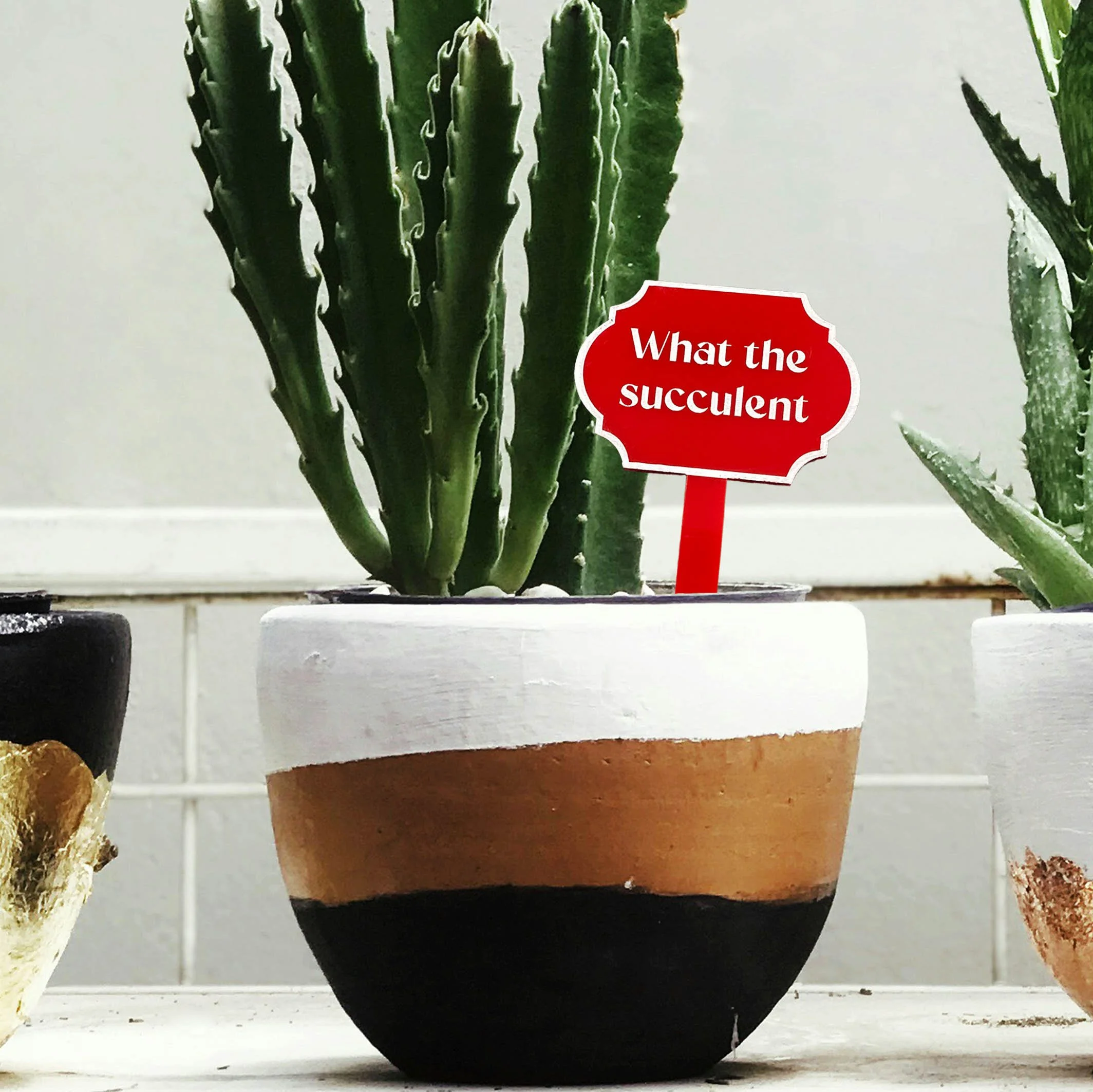 What The Succulent - Planter Stick