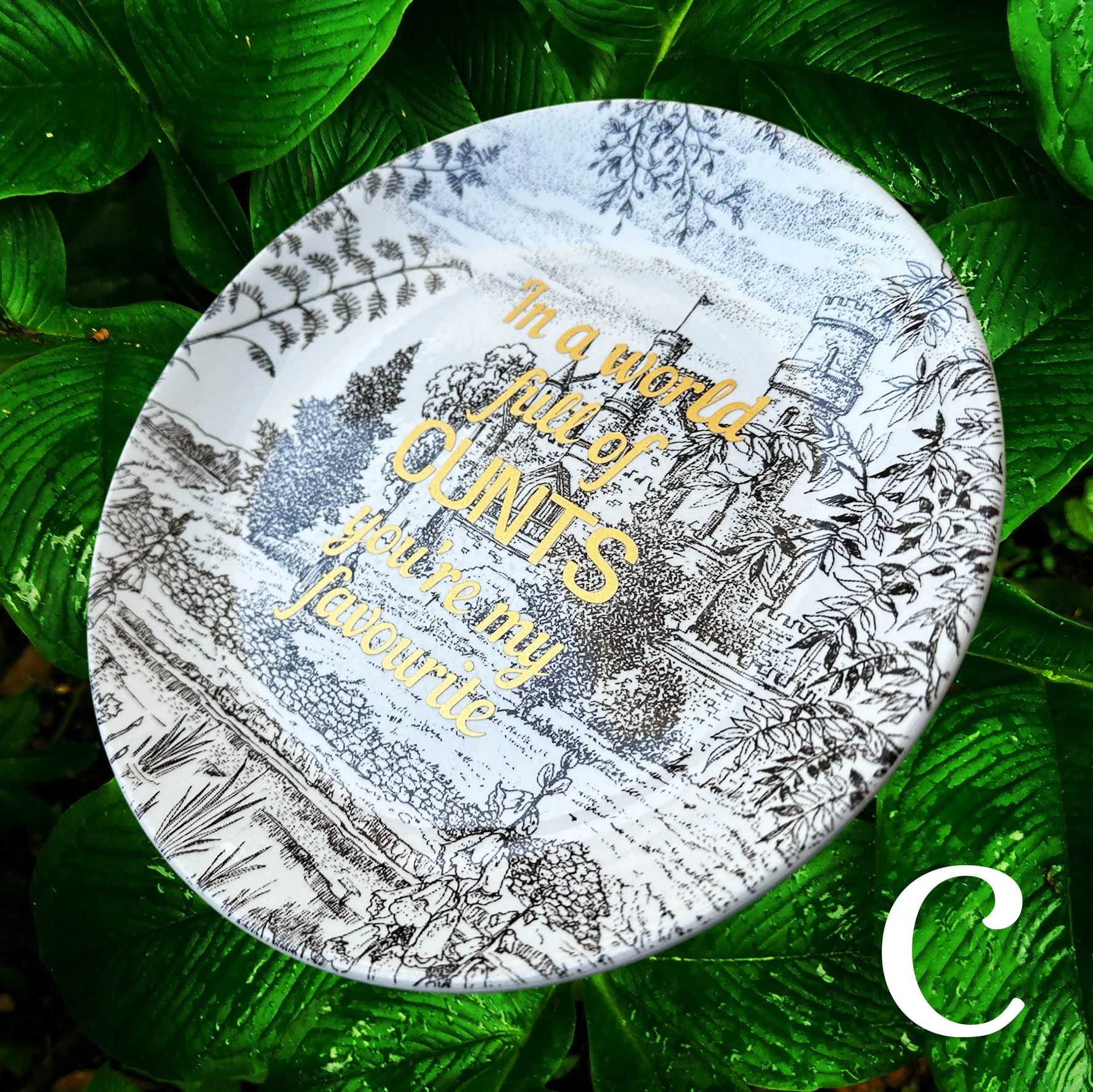 Plate C, small vintage plate with a castle scene and the quote “In a world full of cunts you’re my favourite” In gold writing