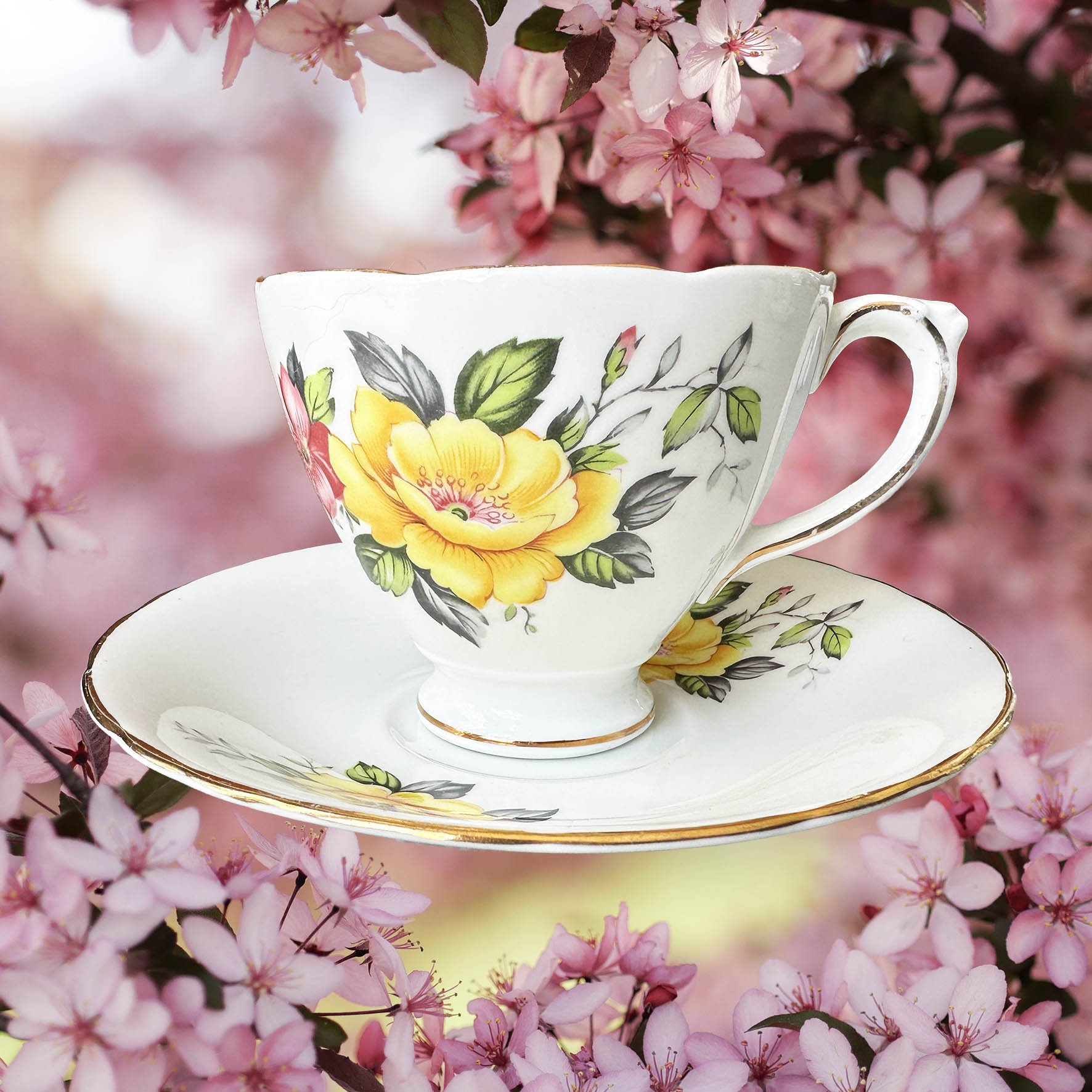 A vintage tea cup and saucer set with a pink and yellow rose design and a quote “fancy as fuck” in black writing