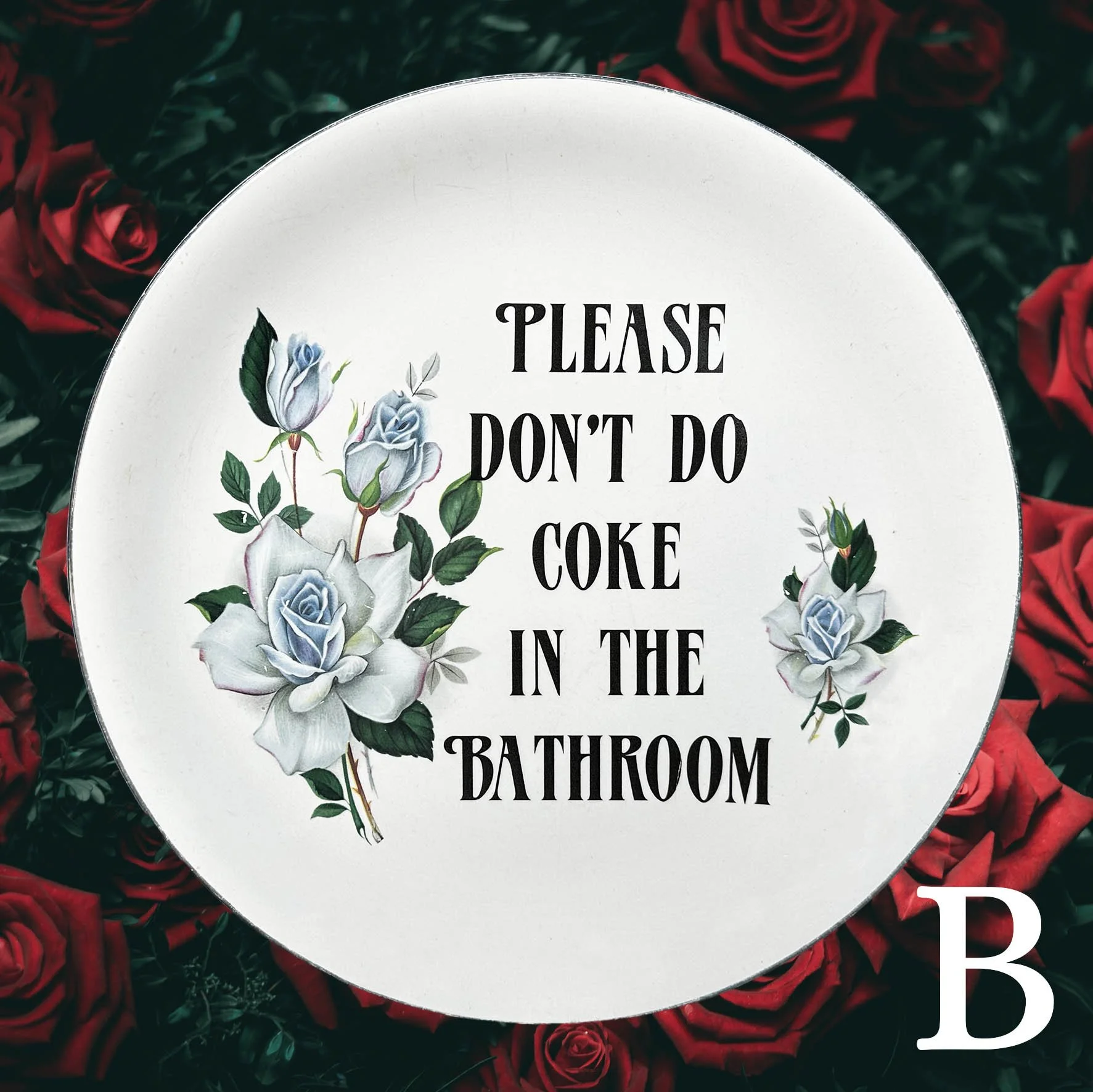 A vintage witty plate with the quote "please don't do coke in the bathroom"