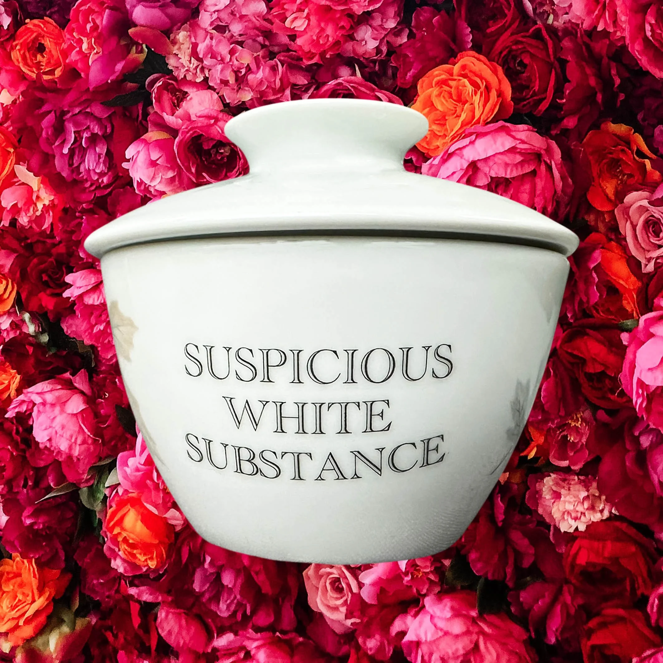 A vintage Noritake sugar bowl with a maple leaf design and the words “suspicious white substance” in black lettering