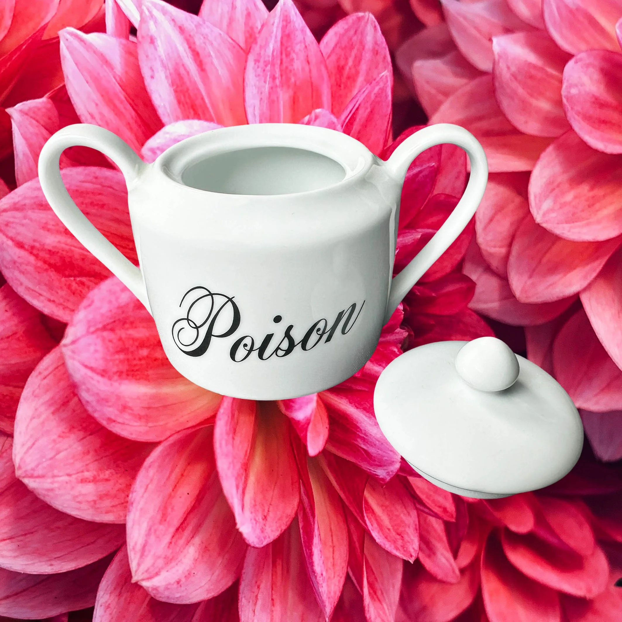 A white sugar bowl with handles and a lid and the words “poison” in black cursive writing