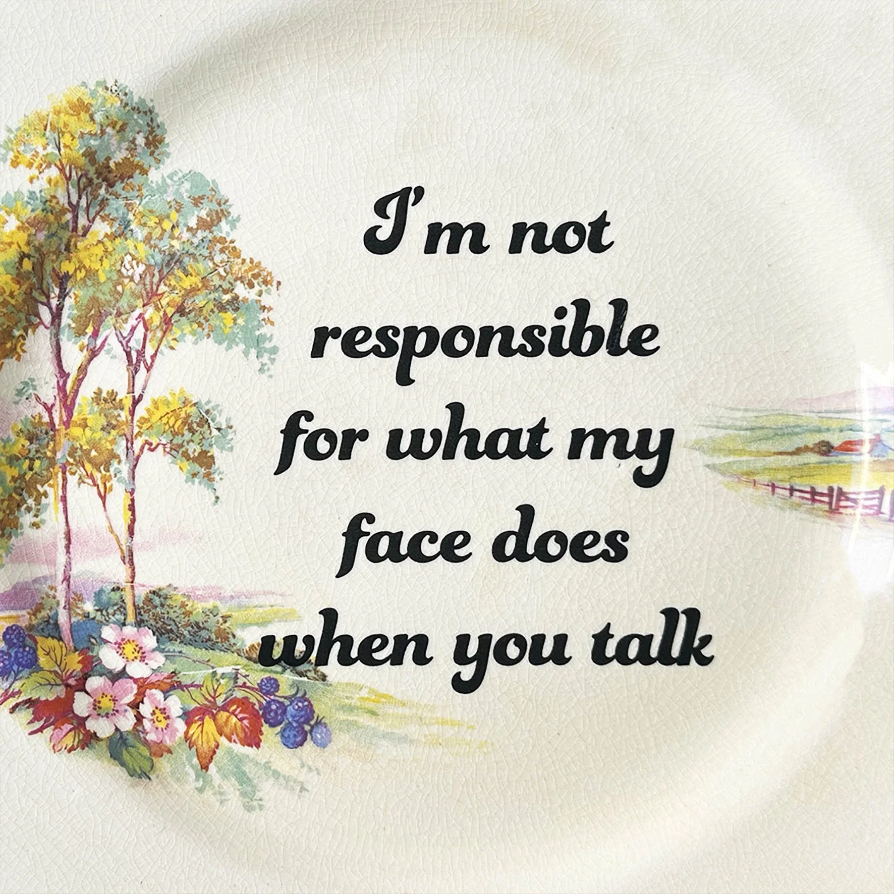A vintage plate with a quote “I’m not responsible for what my face does when you talk”