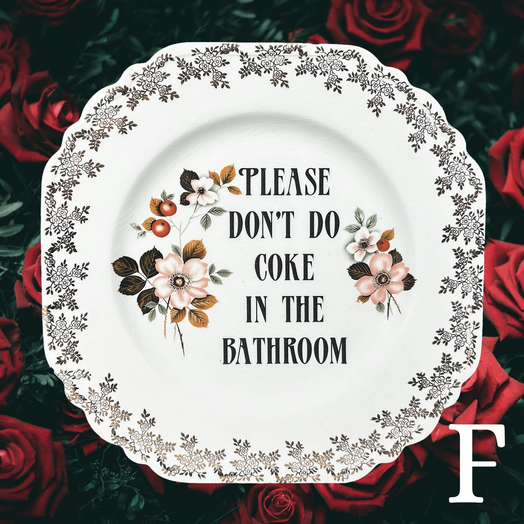 Plate F, peach floral design and the quote "please don't do coke in the bathroom"