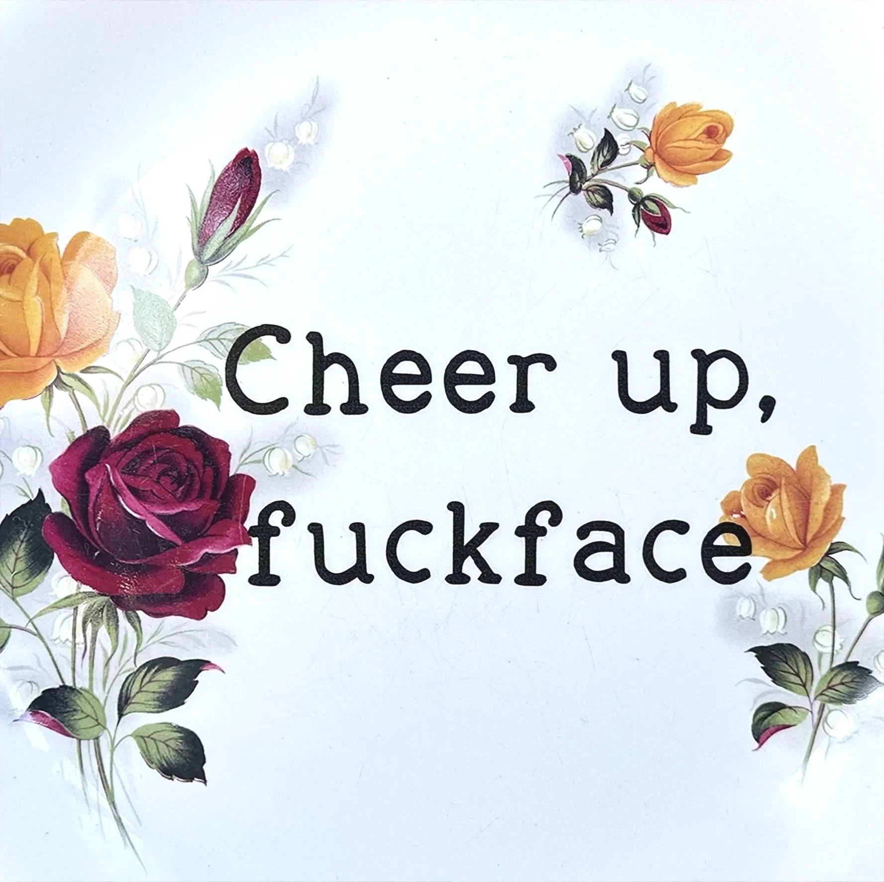 A vintage plate with red and roses and the quote "cheer up, fuckface"