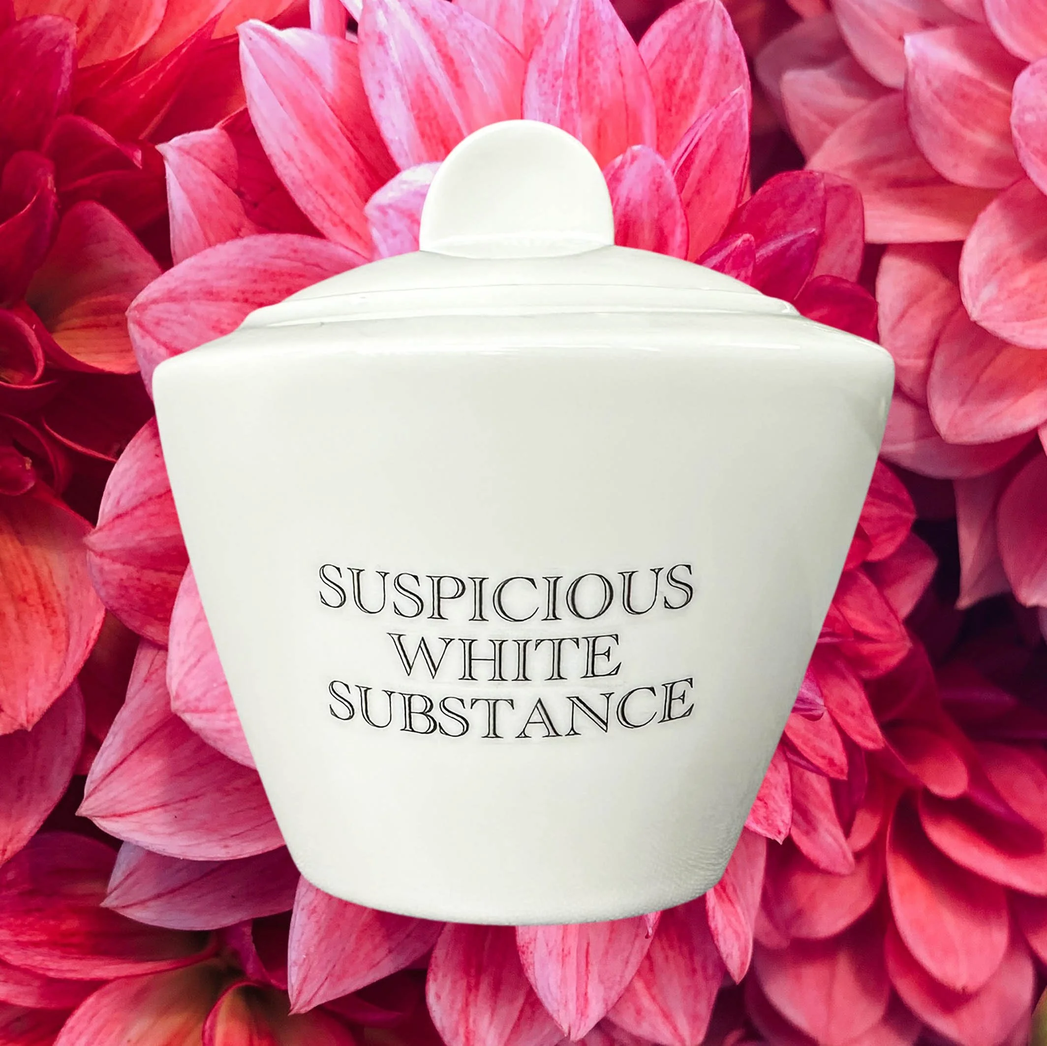 White sugar bowl with the words “suspicious white substance” in black lettering