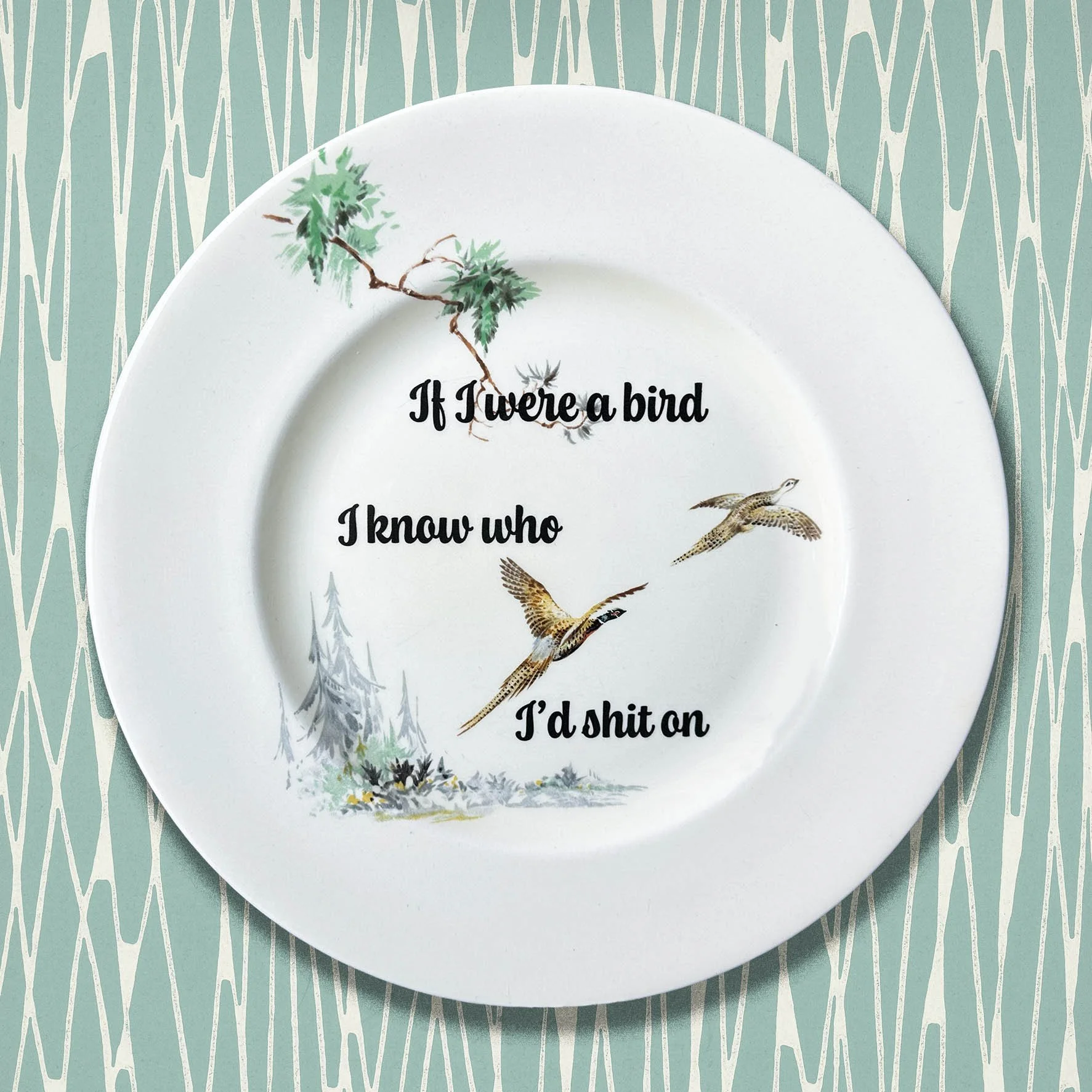 If I Were A Bird, I Know Who I’d Shit On