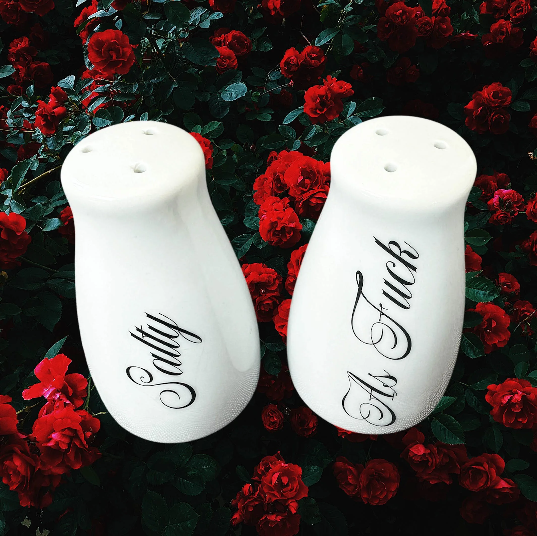 Salty as fuck funny salt and pepper shakers, white salt and pepper shakers with black writing