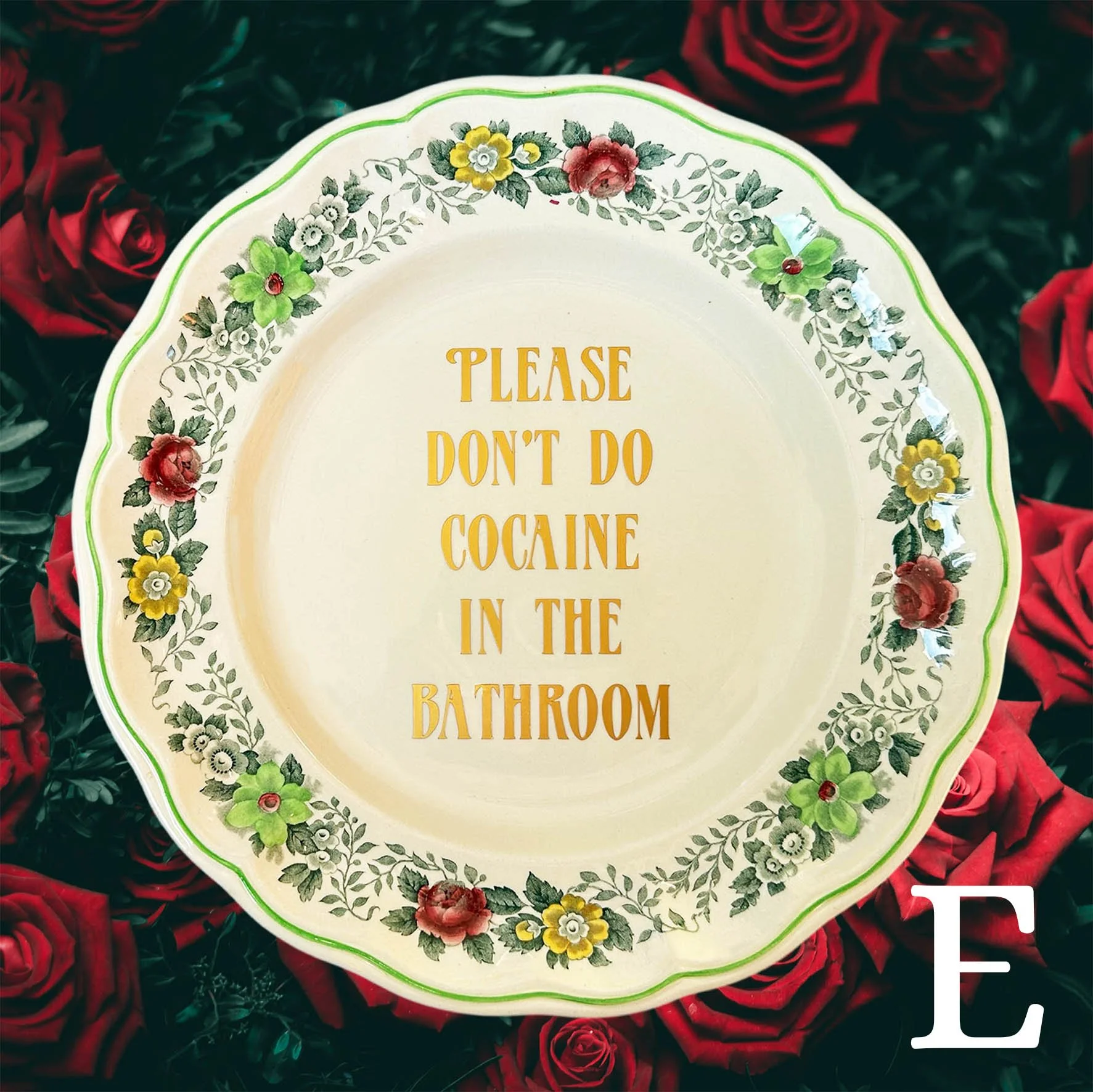 Please Don’t Do Cocaine In The Bathroom