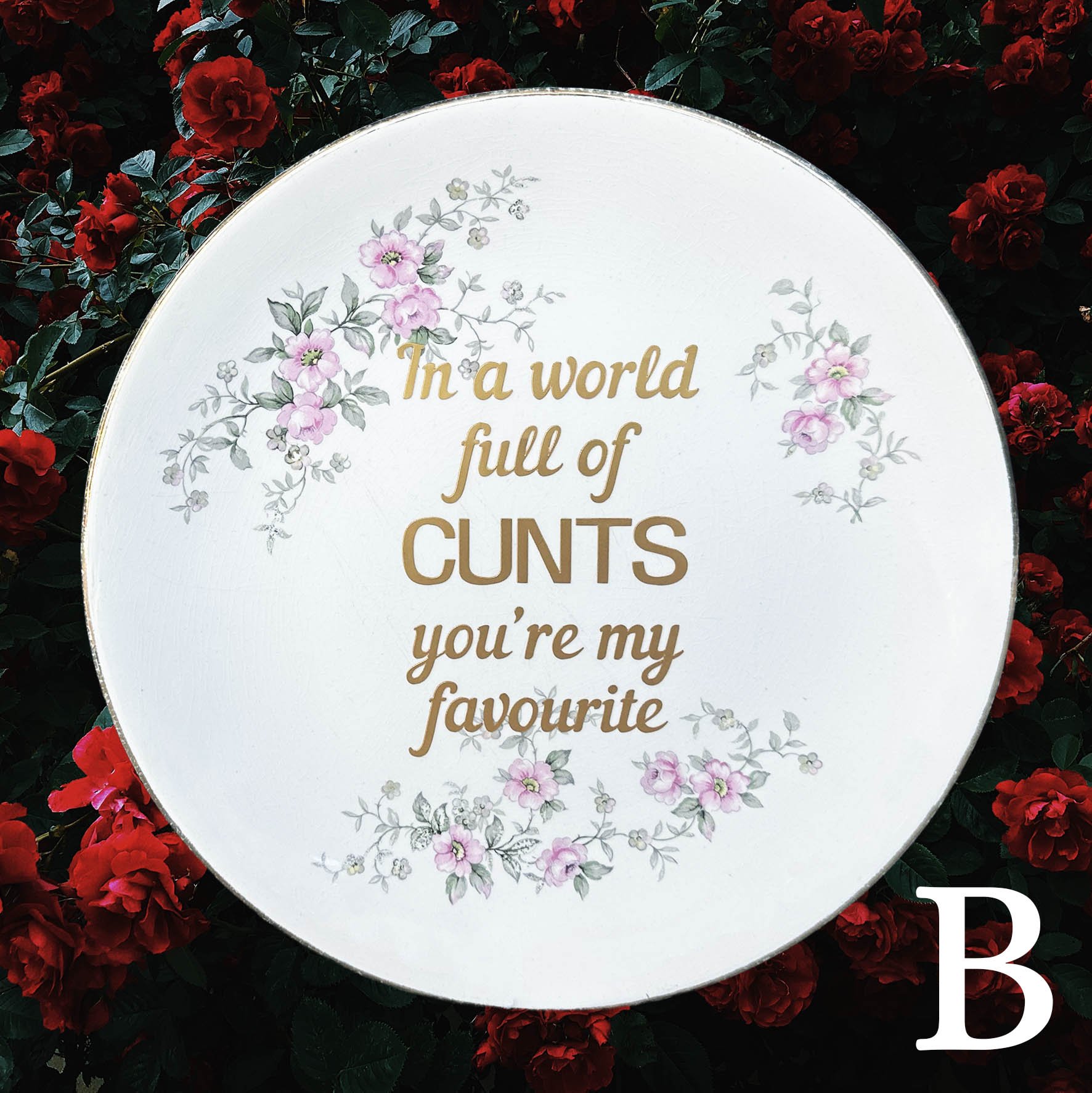In A World Full Of Cunts You’re My Favourite