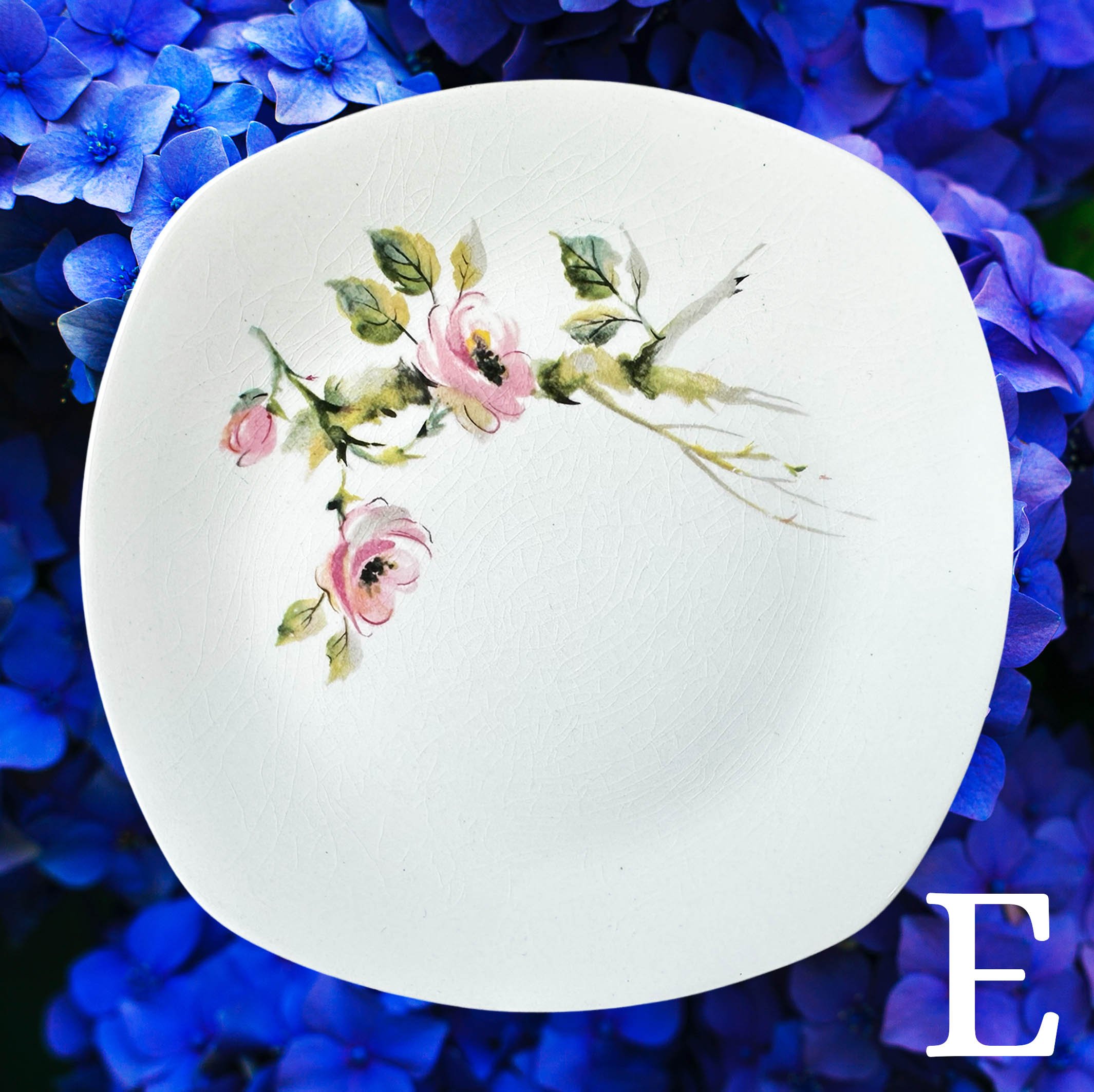 Create_a_plate_small_2025E4.jpg