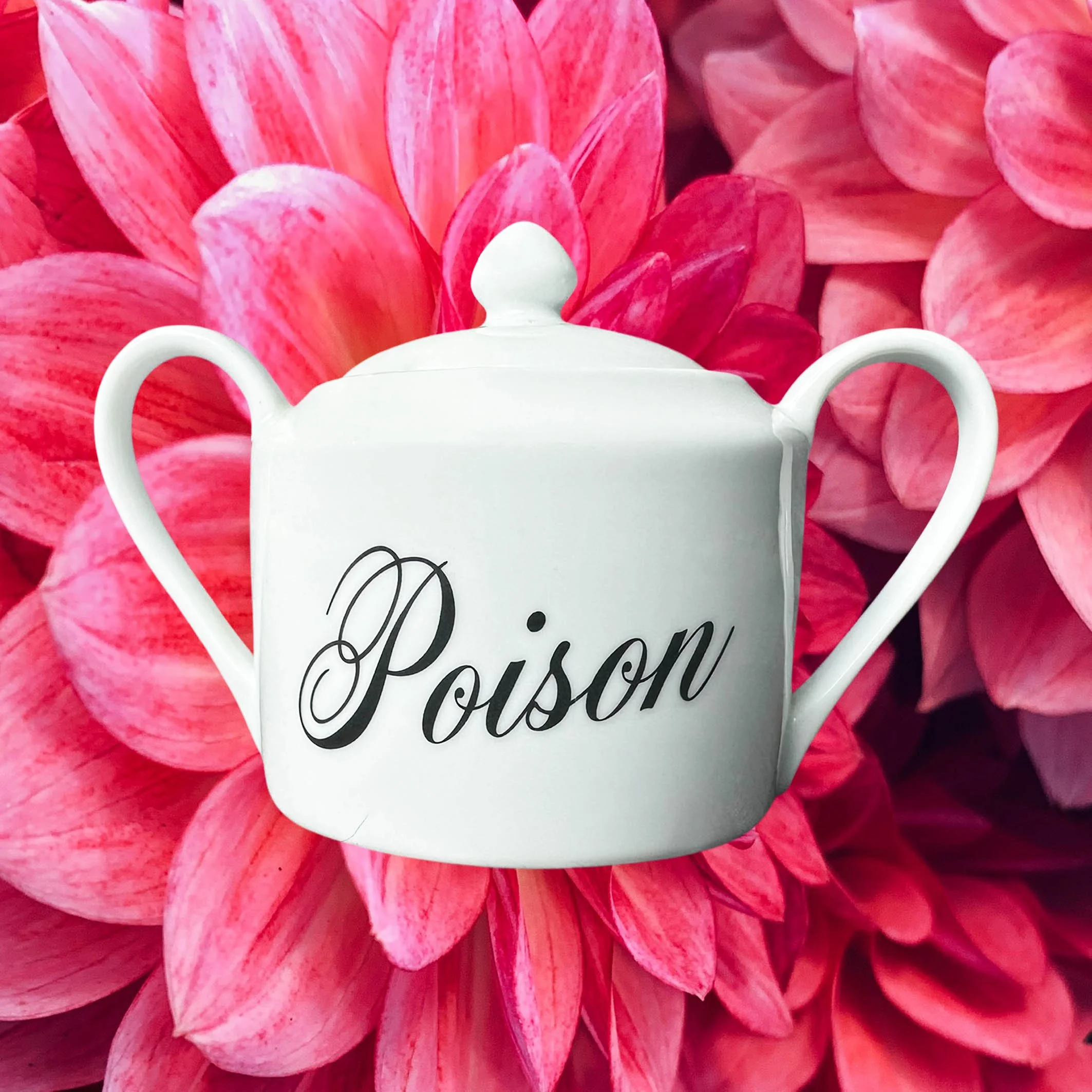 A white sugar bowl with handles and a lid and the words “poison” in black cursive writing