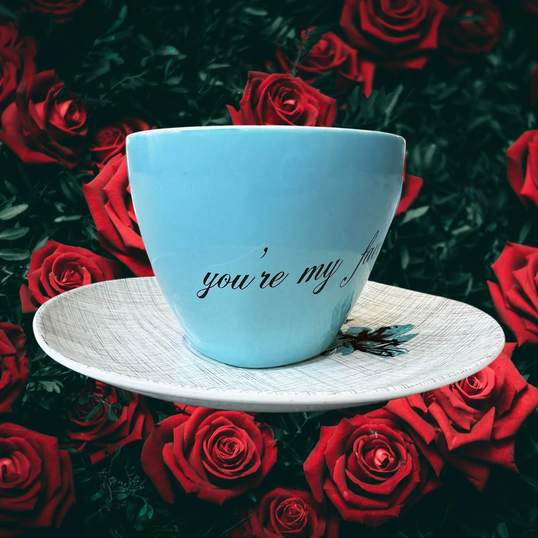 Vintage blue tea cup with the quote “in a world full of cunts you’re my favourite”
