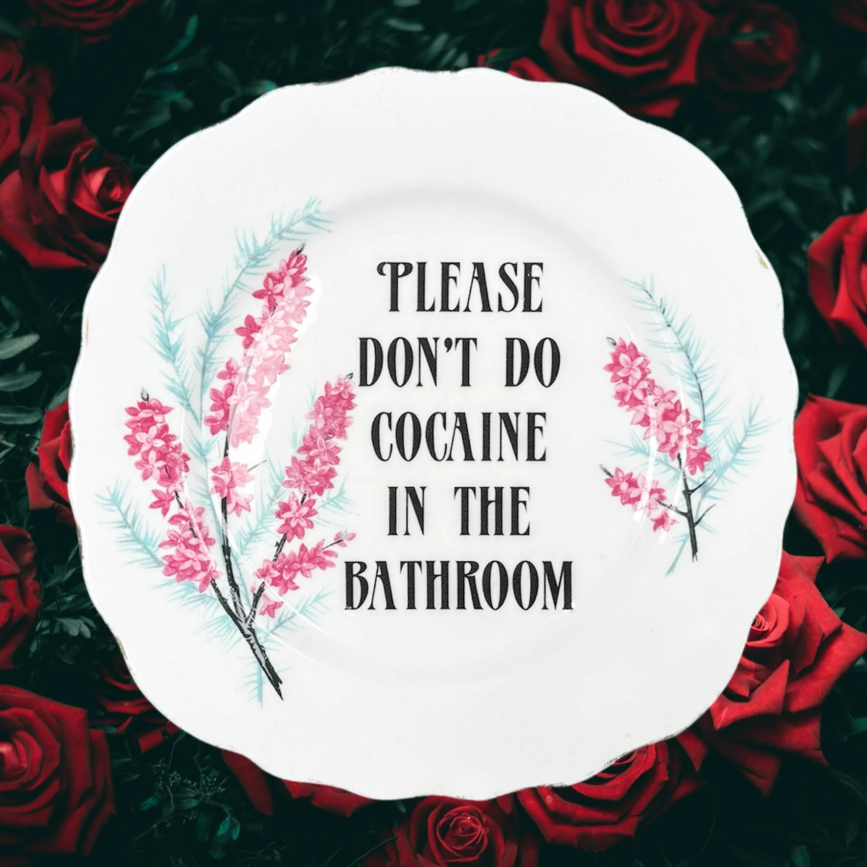 Please Don’t Do Cocaine In The Bathroom