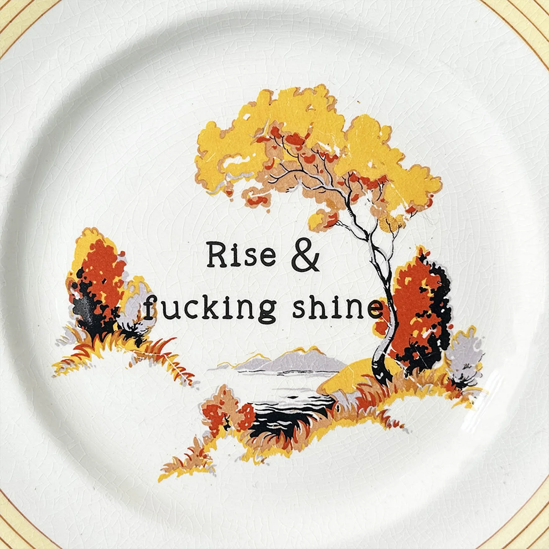 A vintage plate with a cheeky quote “rise and fucking shine”