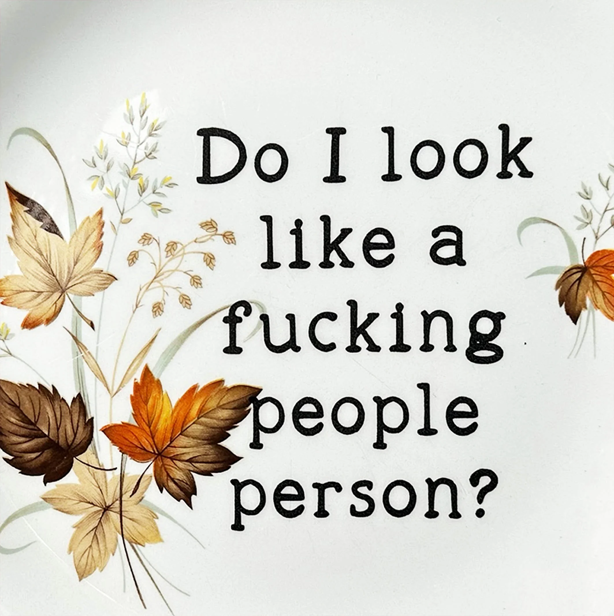 A vintage plate with an autumn leaves design and the words “Do I look like a fucking people person?” In black typewriter style lettering