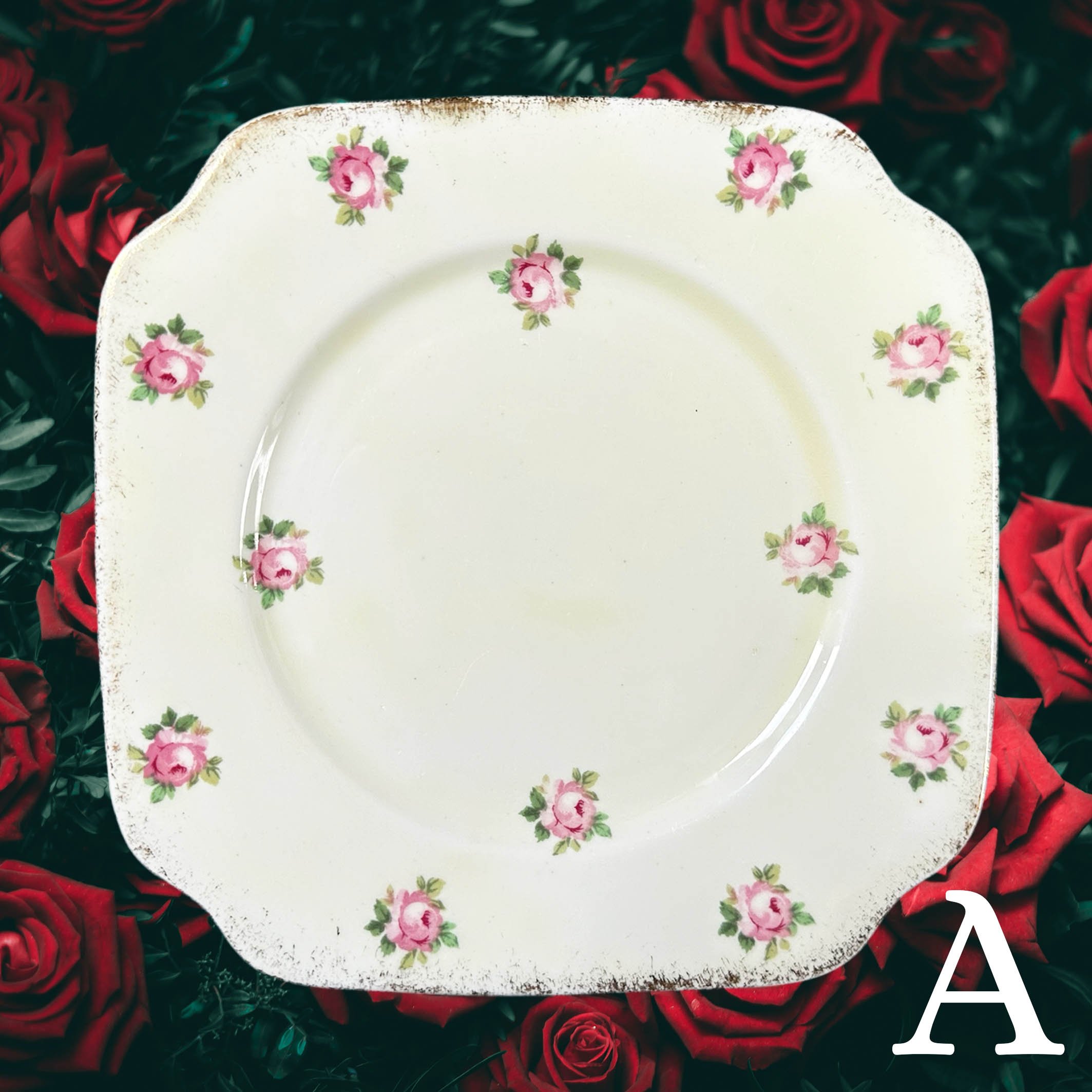 Create_a_plate_small_2025A2.jpg