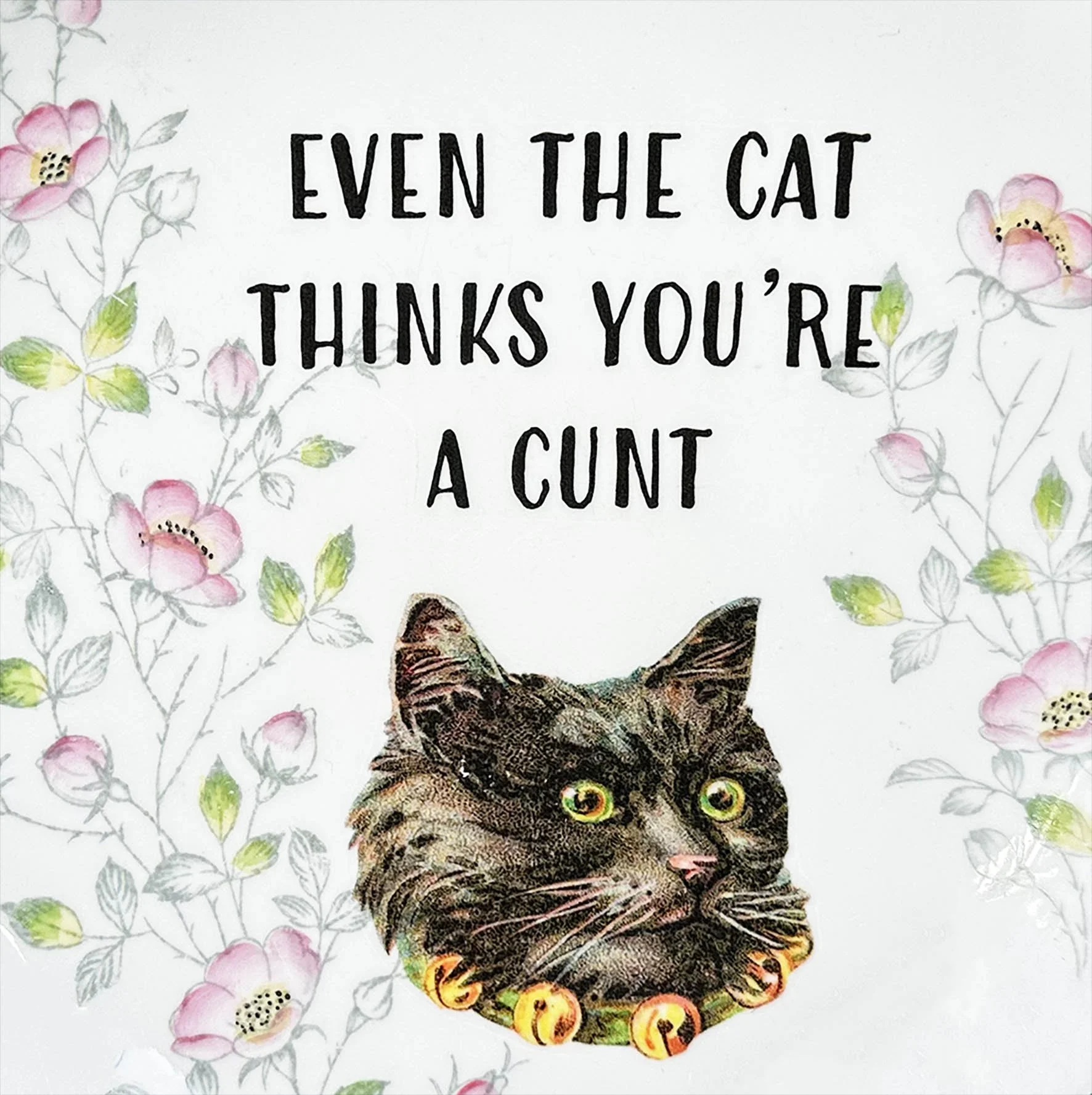 a vintage plate with a cheeky quote "even the cat thinks you're a cunt" and a picture of a black cat