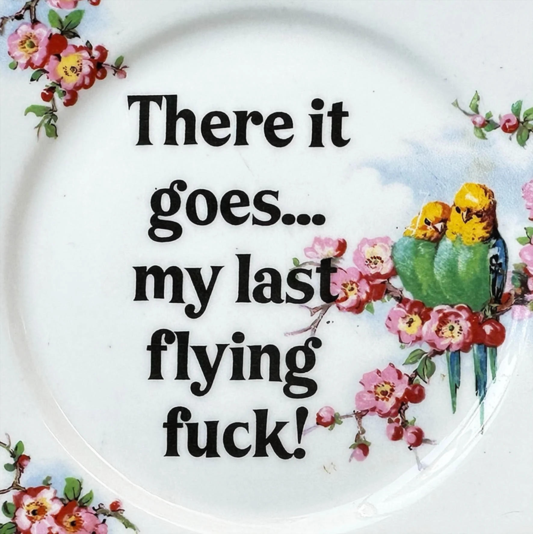 Vintage wall plate with a picture of two birds and the words "there it goes...my last flying fuck!" in black lettering