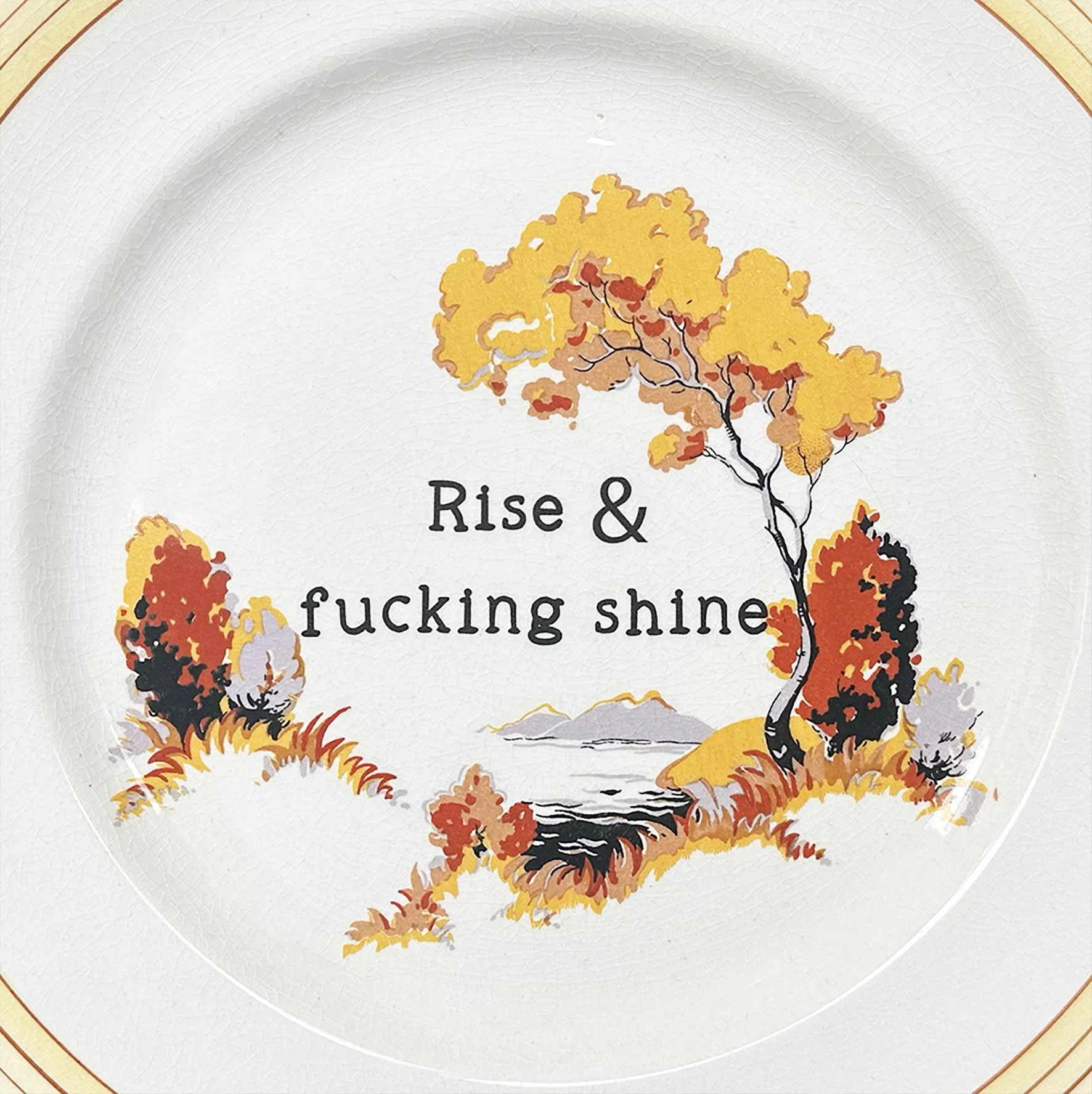 A vintage plate with a cheeky quote “rise and fucking shine”