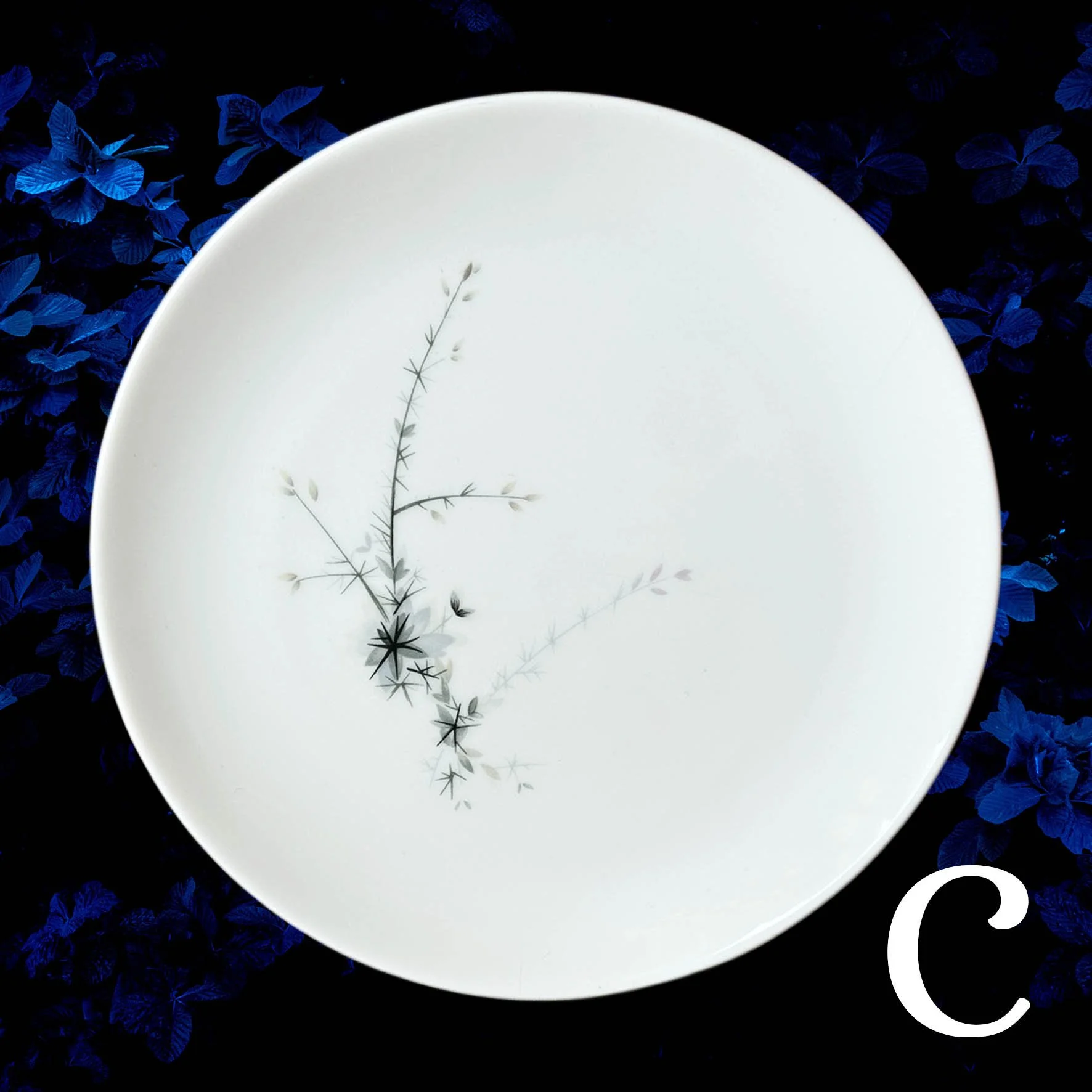 Plate C, black and grey twigs