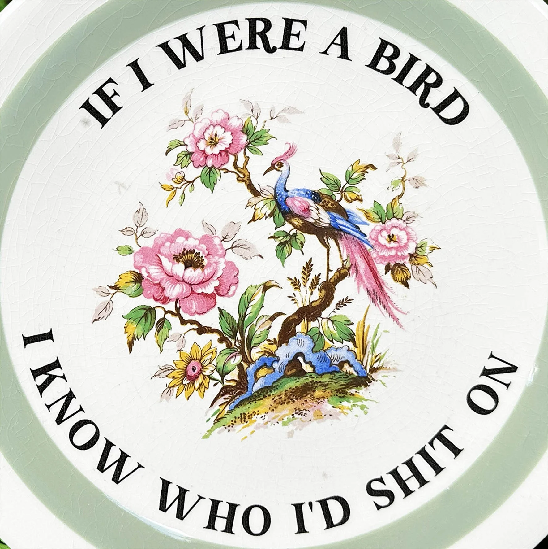 If I were I bird I know who I’d shit on, funny rude and sassy upcycled vintage plates, decorative plate featuring a bird design and black writing