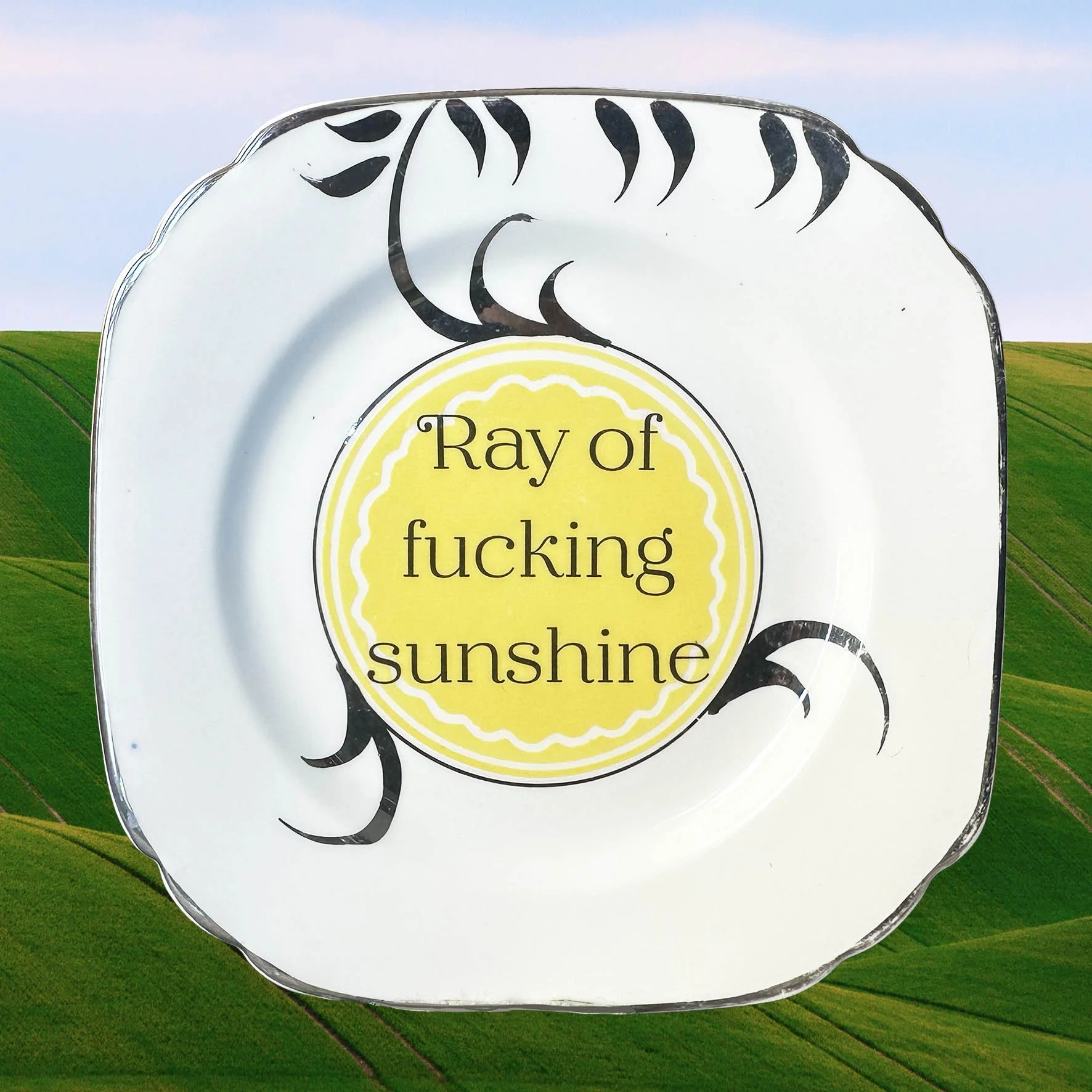 Ray Of Fucking Sunshine - Decorative Plate