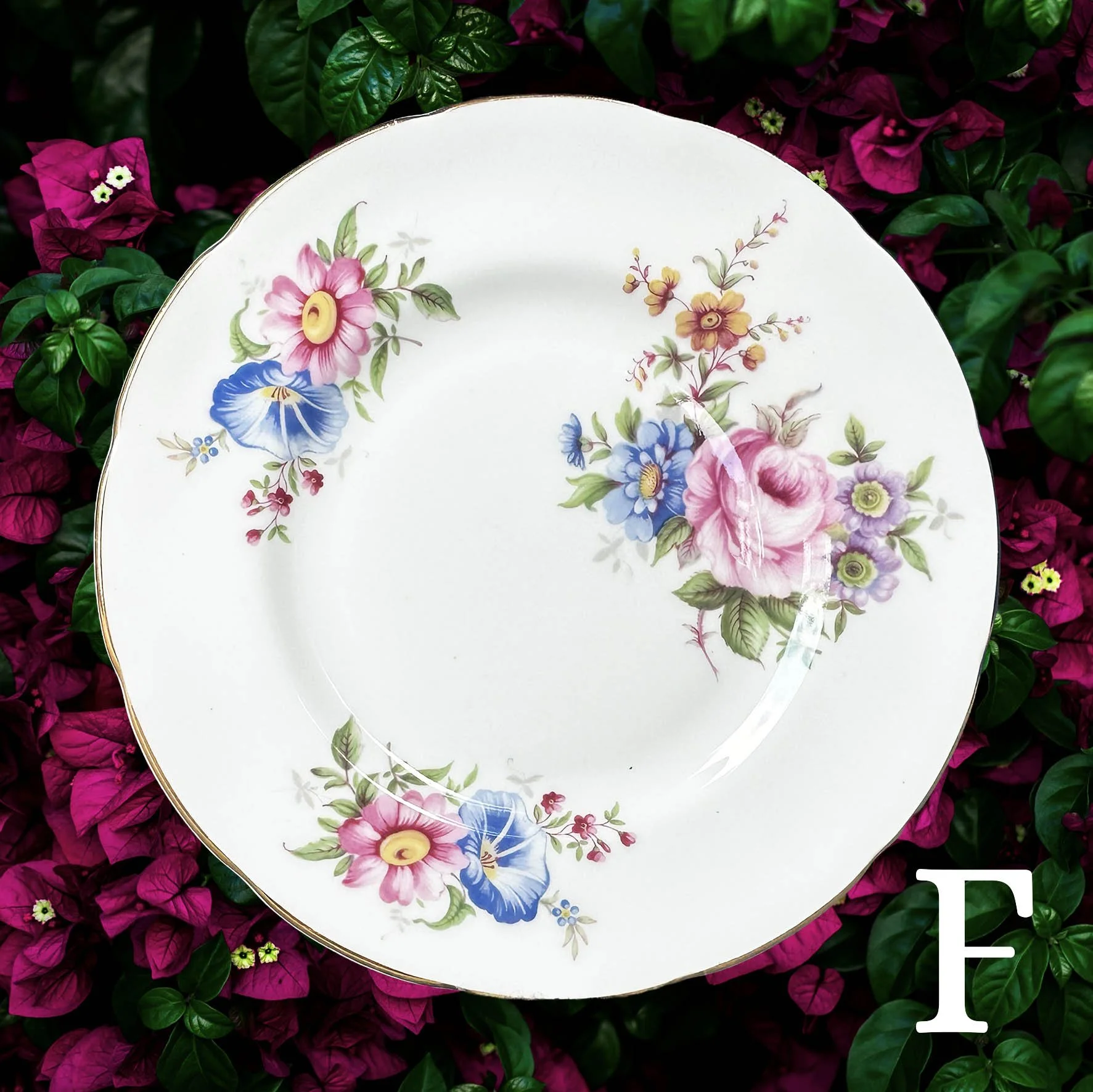 Plate F, a vintage plate with pink and blue flowers