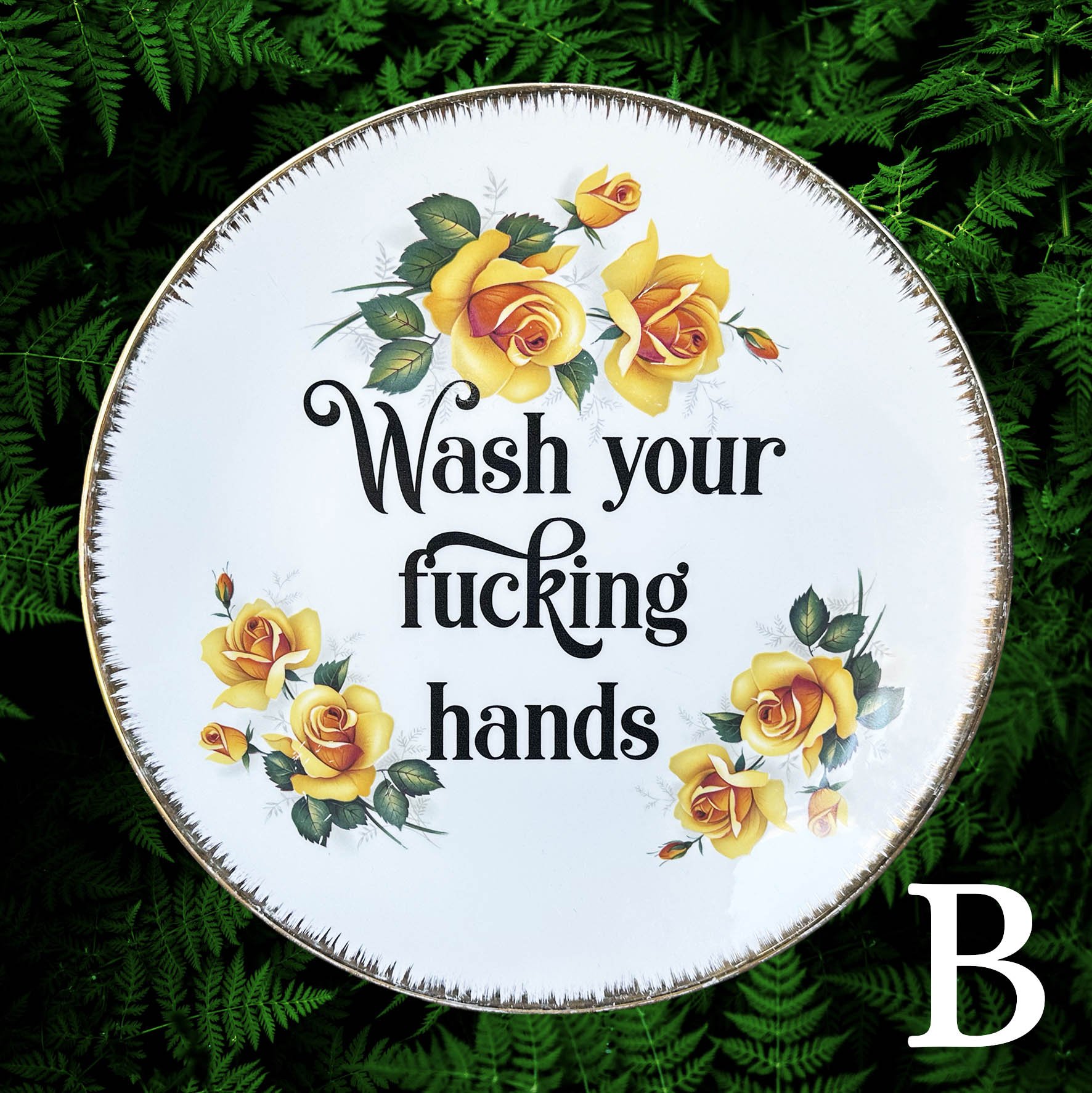 Plate_wash_your_fucking_handsR2.jpg