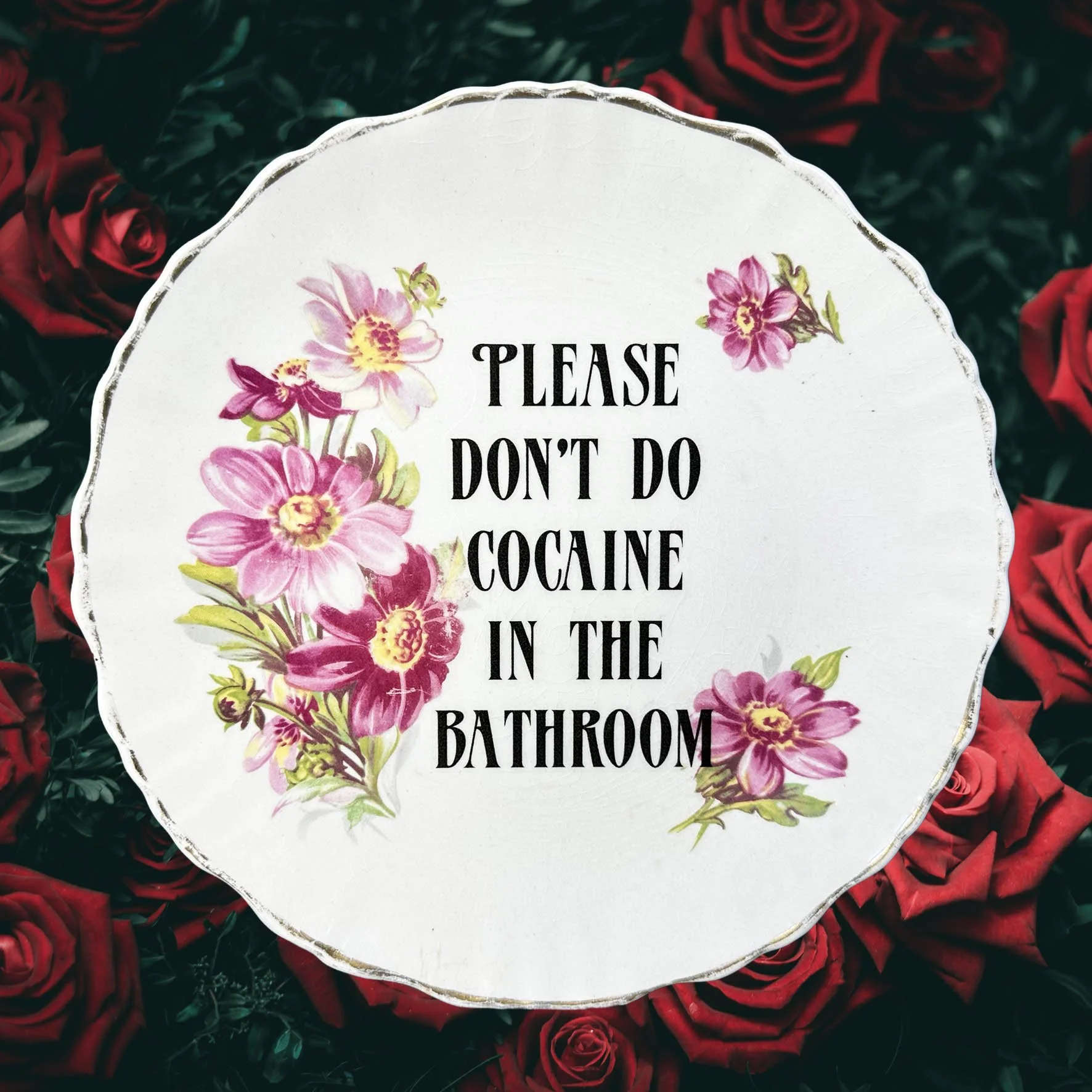 Please Don’t Do Cocaine In The Bathroom