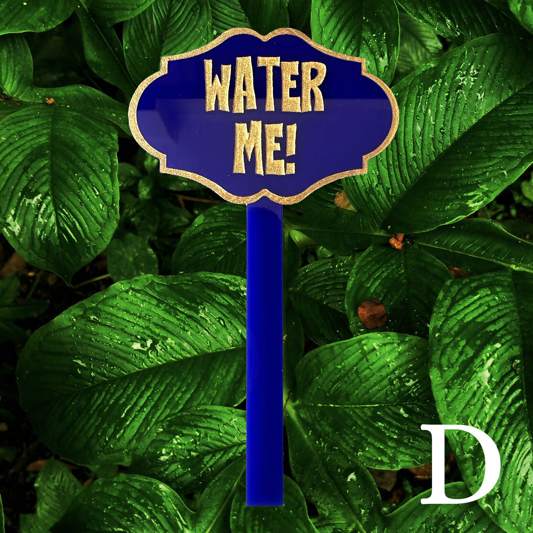C, blue acrylic planter stick label with the words “water me!” in gold lettering