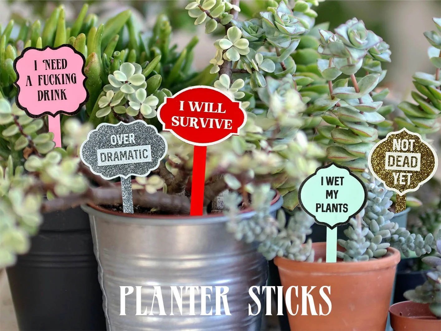 A group of houseplants displaying planter stick labels, I need a fucking drink, over dramatic, I will survive, I wet my plants, not dead yet