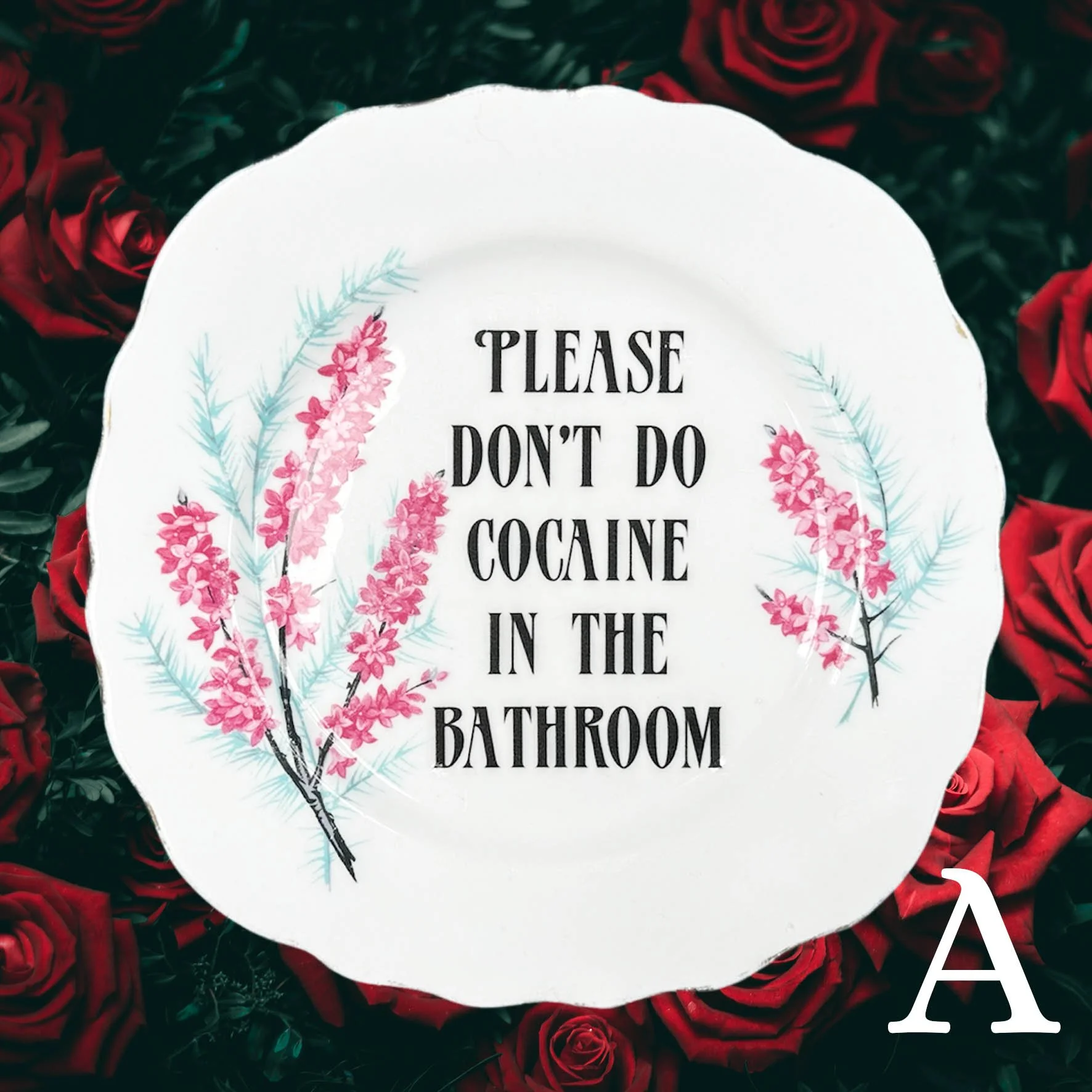 Please Don’t Do Cocaine In The Bathroom
