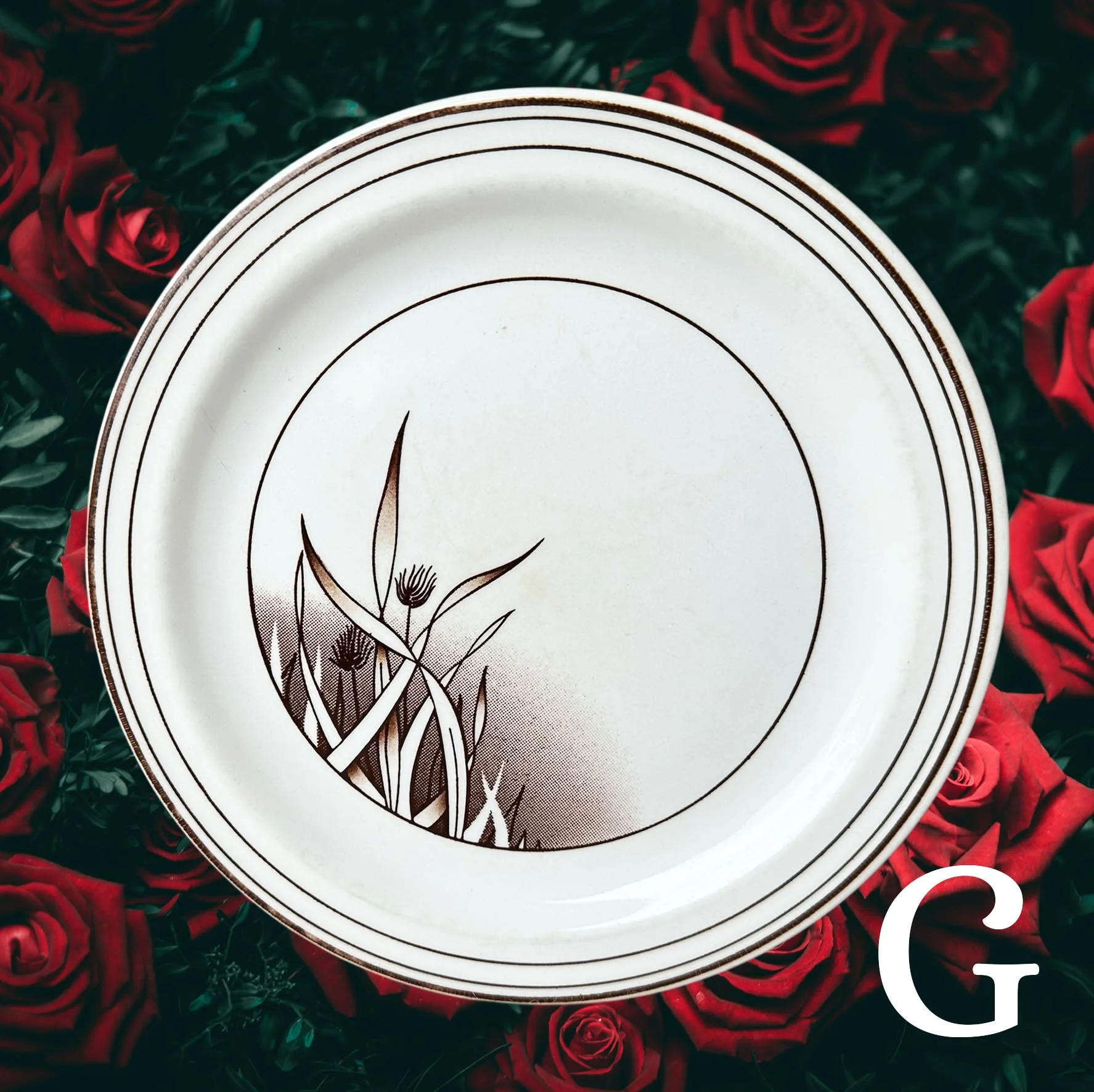 Plate G, Crown Lynn pampas grass plate